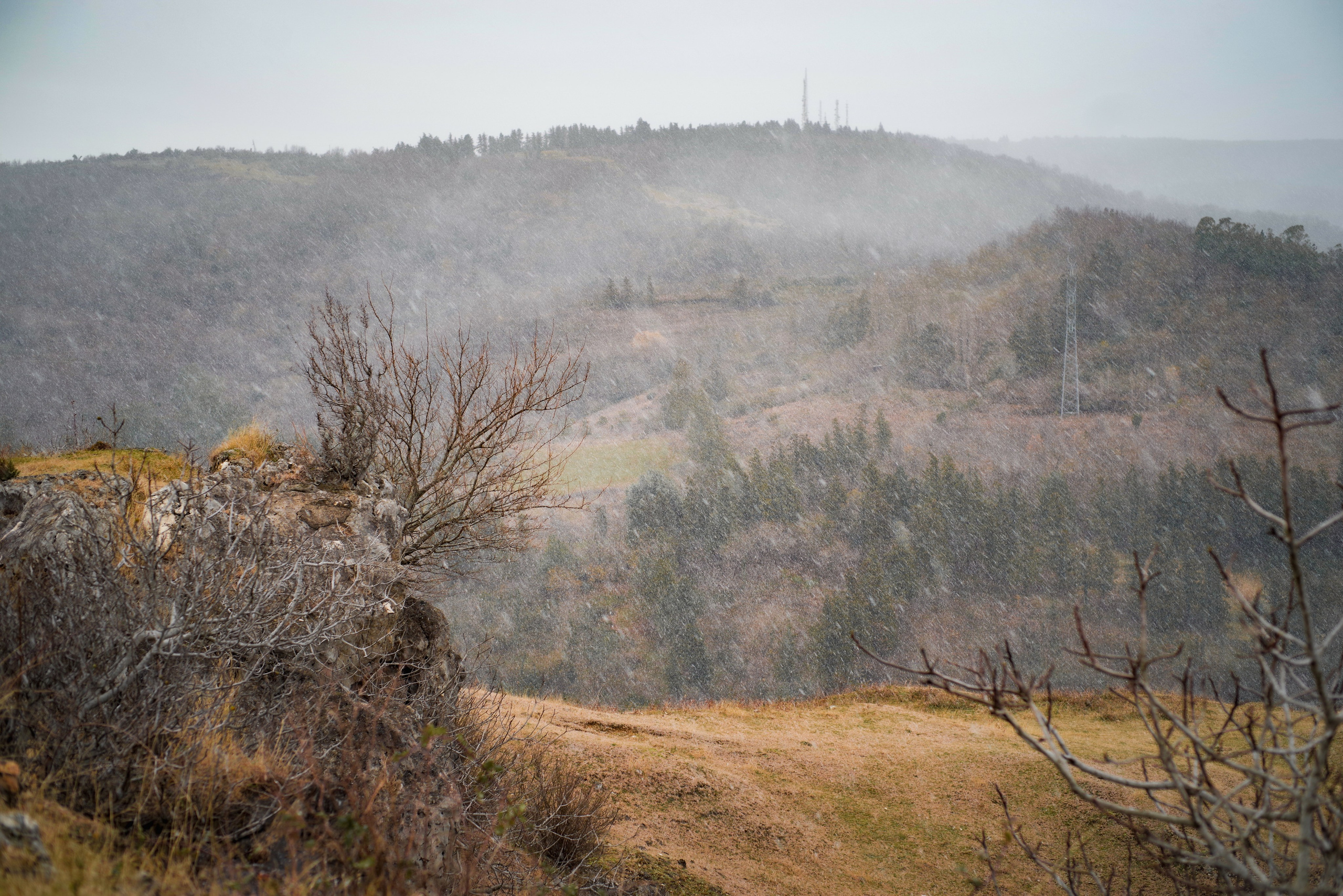 პირველი თოვლი. Портретный фотограф Денис Милютин