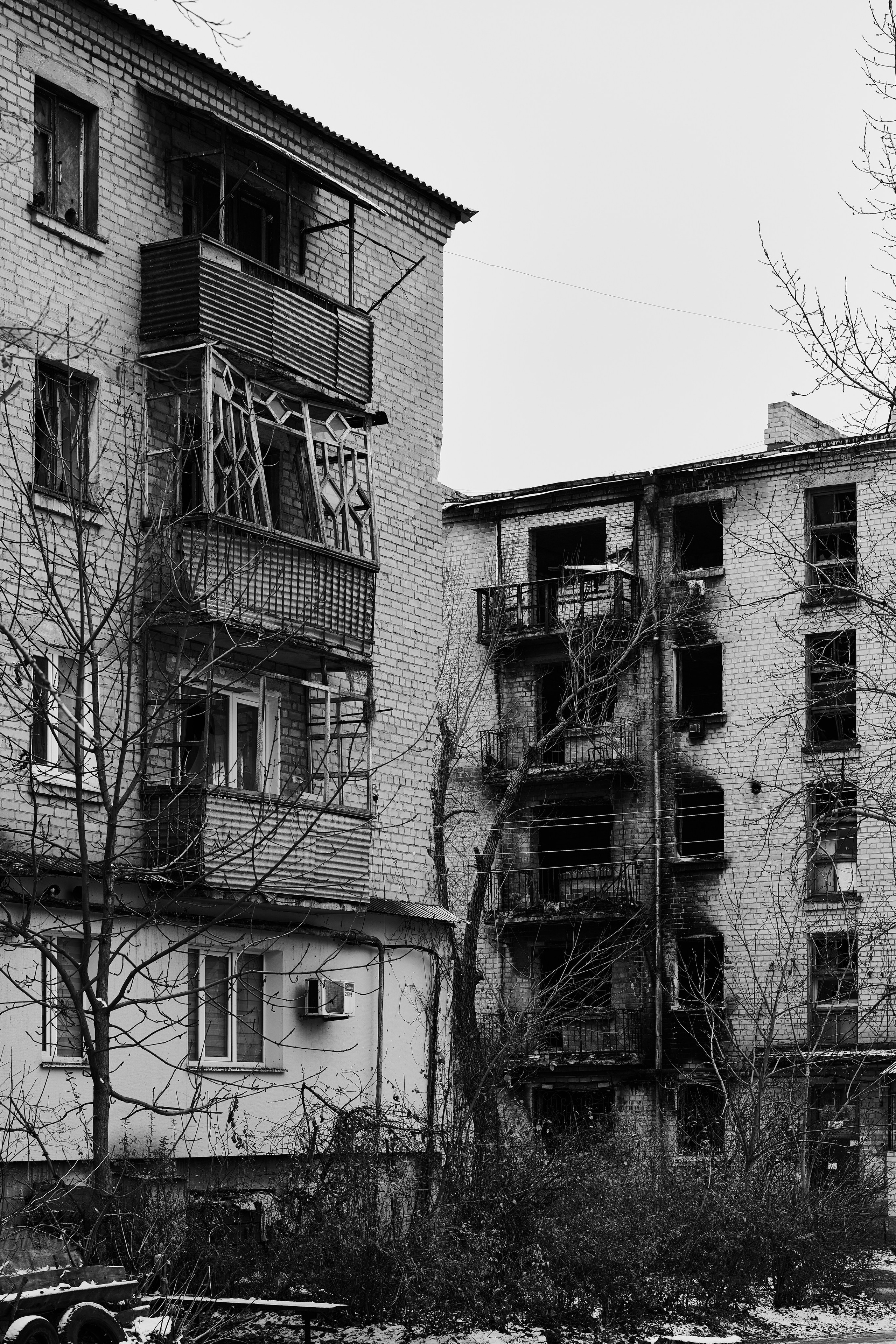 Рубежное. Декабрь 2024. Фотограф Роман Адлер