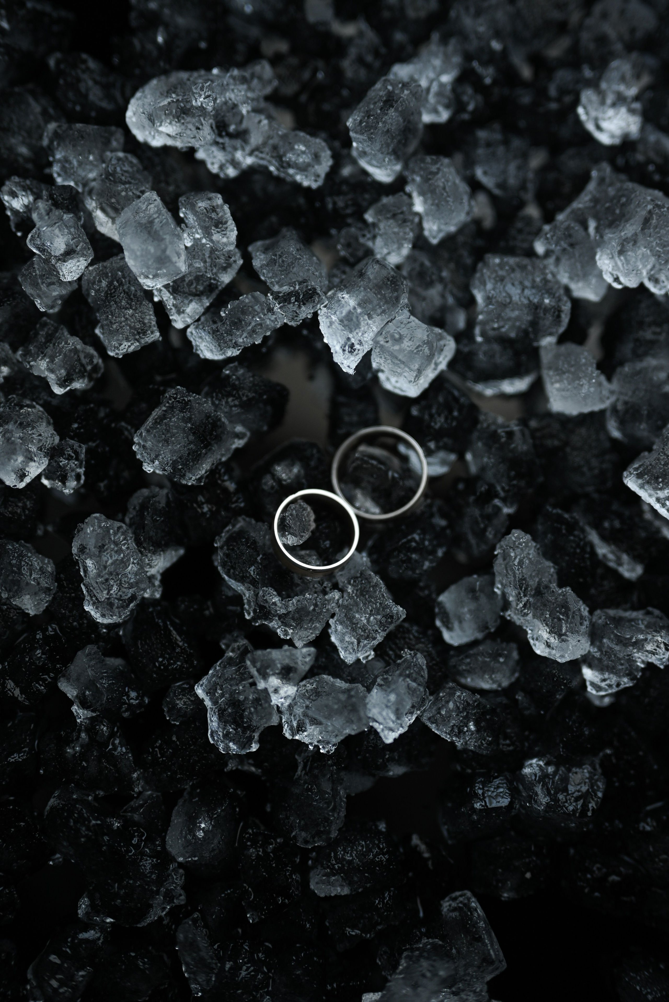 Данил & Алена. Свадебный и семейный фотограф в Уфе Александров Максим