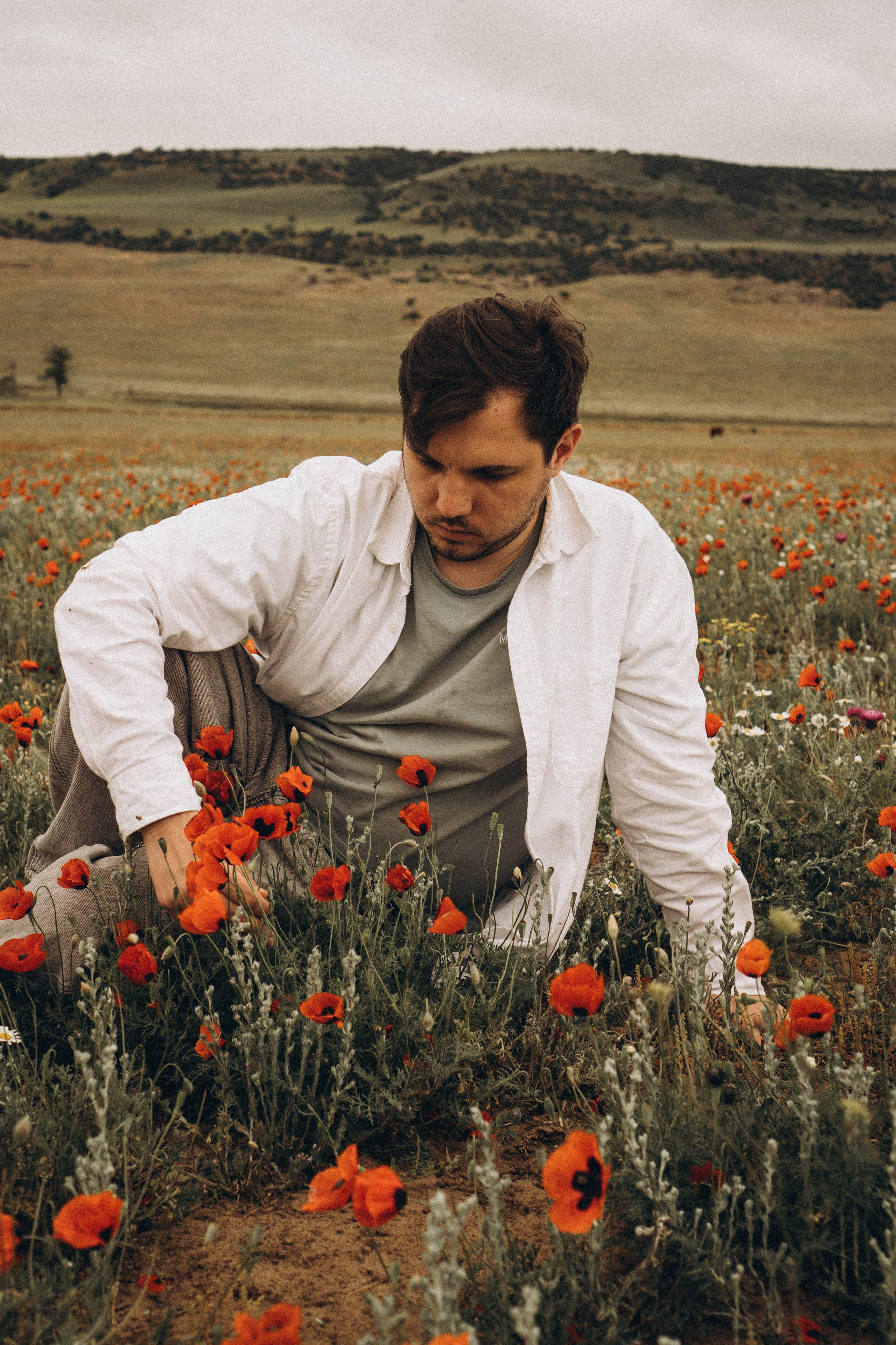 Маки. Профессиональный фотограф, Санкт-Петербург — Виктория Богомолова