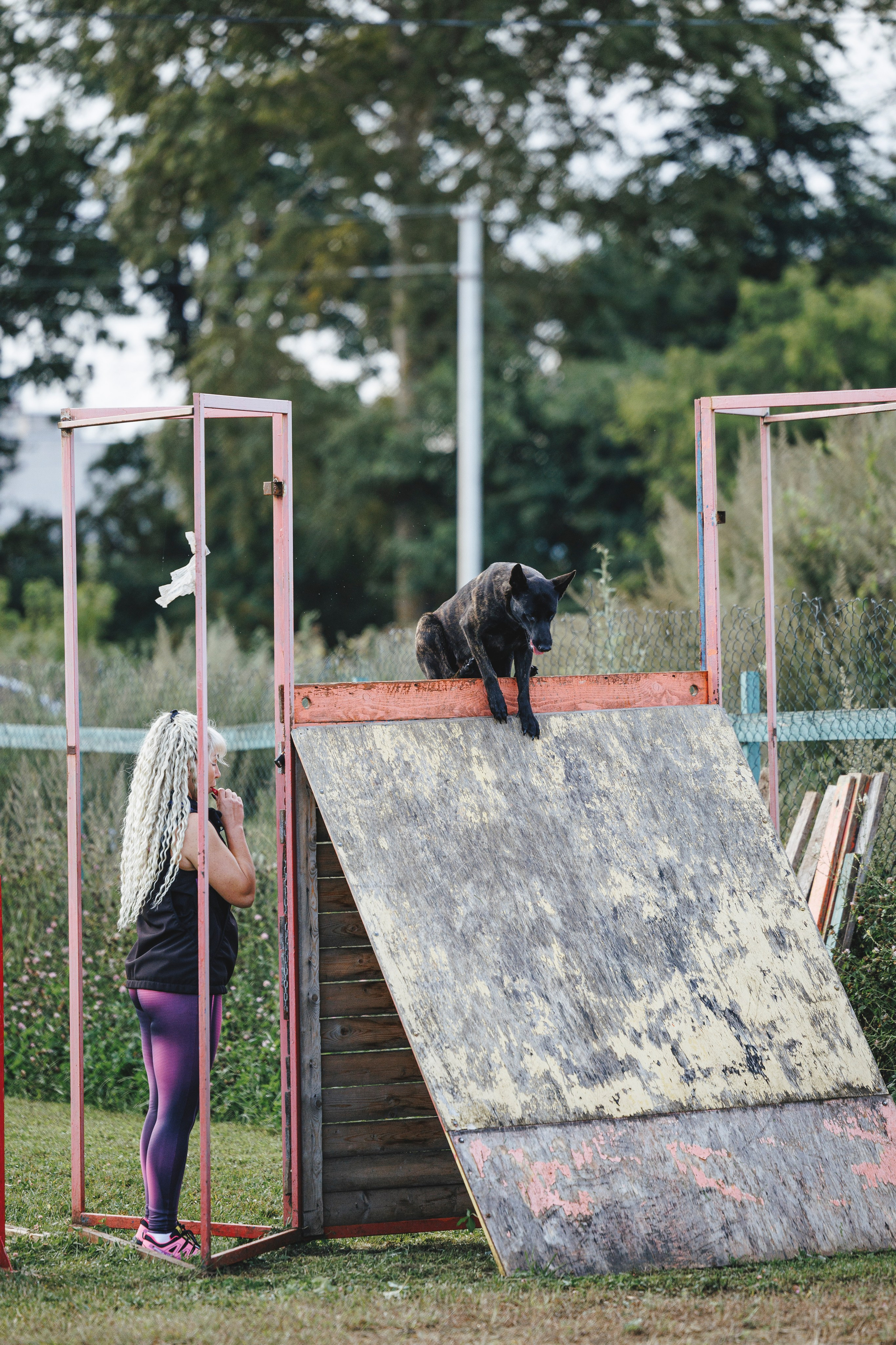 08.08.25-10.08.25 ЧР по мондьорингу г. Вологда. Фотограф-анималист Анна Маринич