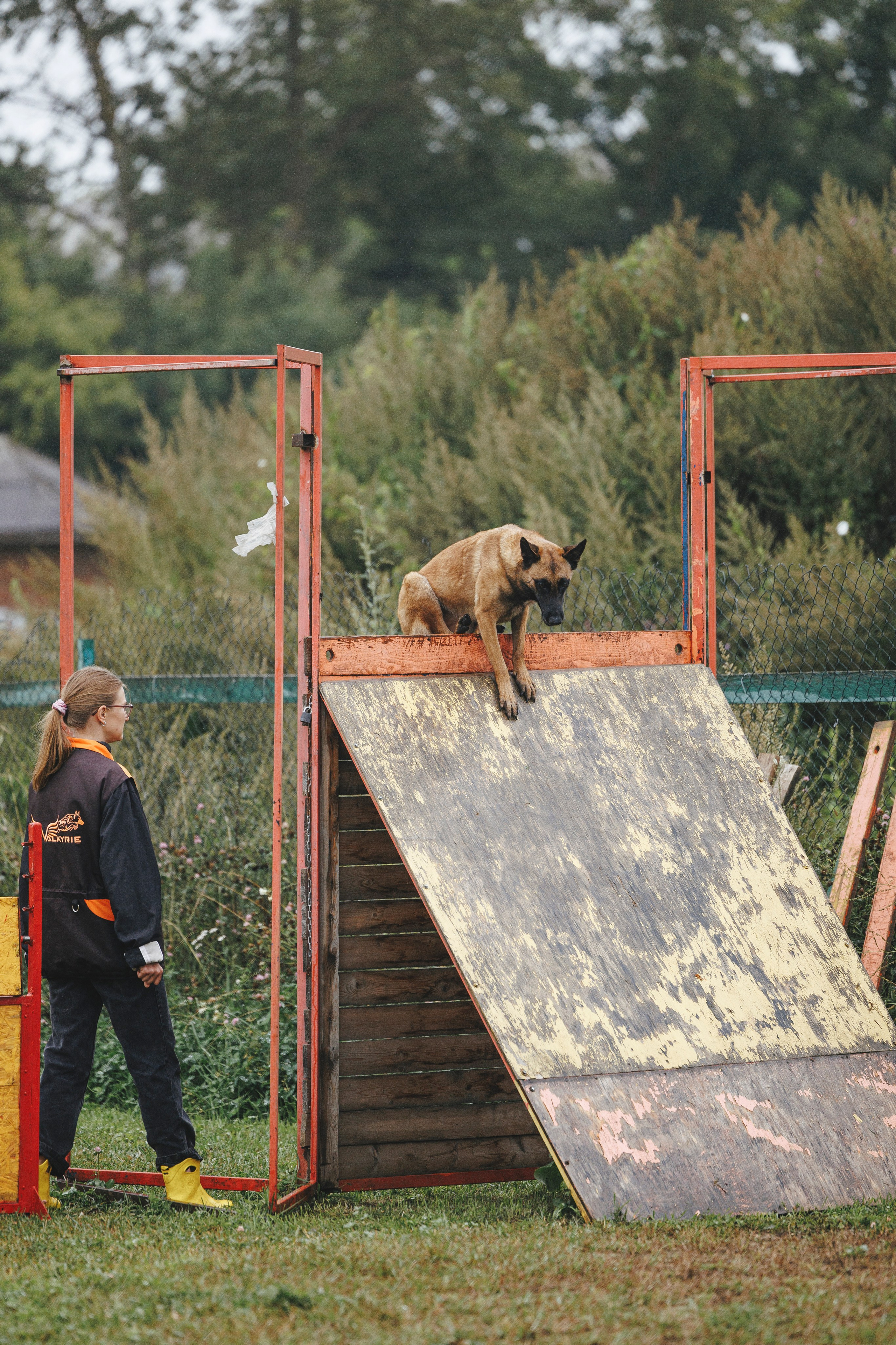 08.08.25-10.08.25 ЧР по мондьорингу г. Вологда. Фотограф-анималист Анна Маринич