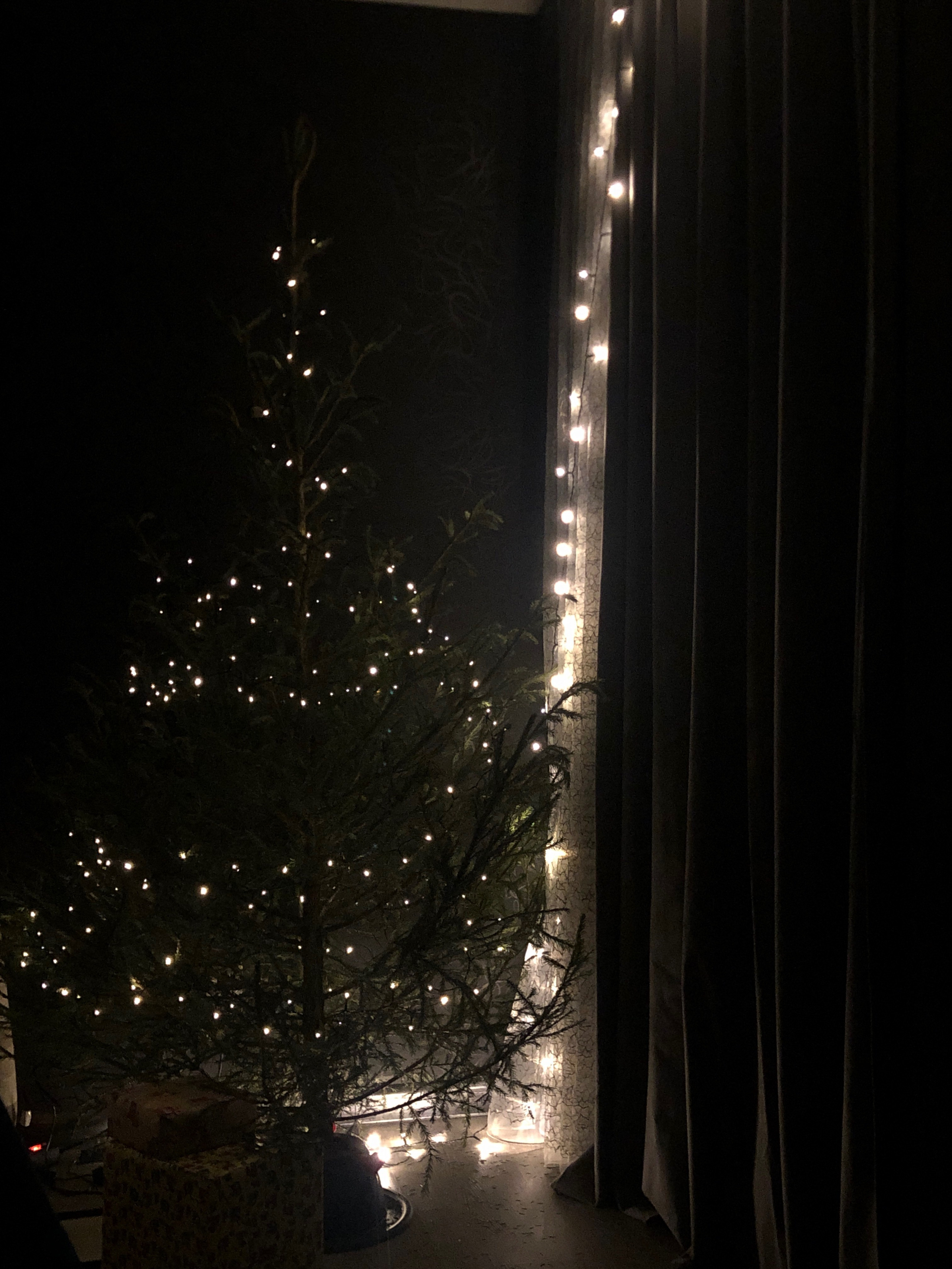 Декабрь. Семейный, Свадебный фотограф СПБ Питер— Романова Екатерина