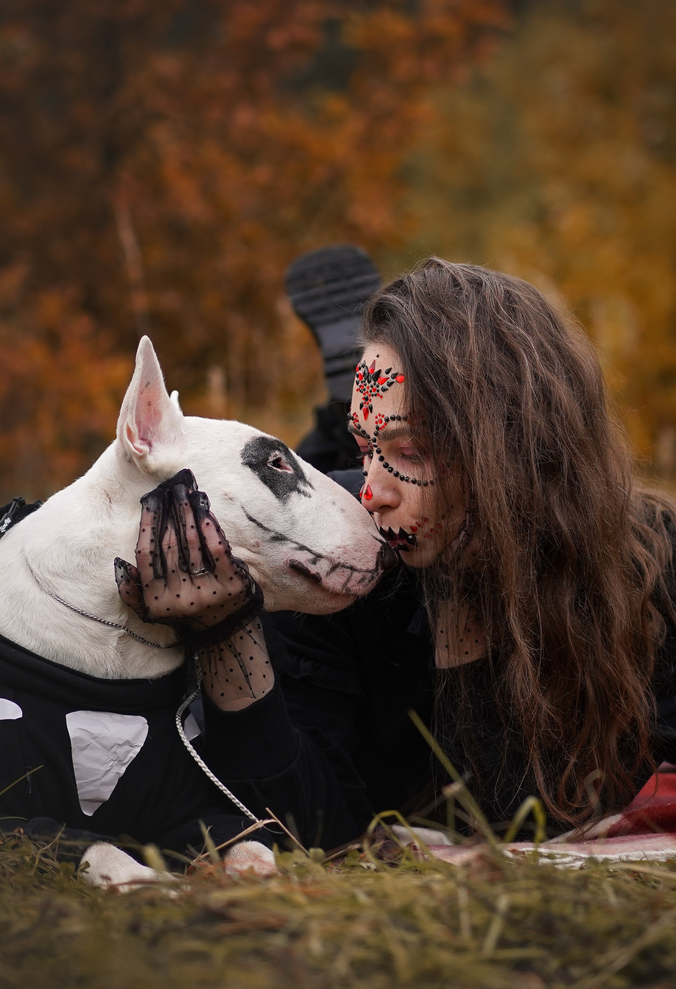 Настя Рома и Сахар Хелоуин. Фотограф-анималист в Санкт-Петербурге Яна Мартынова