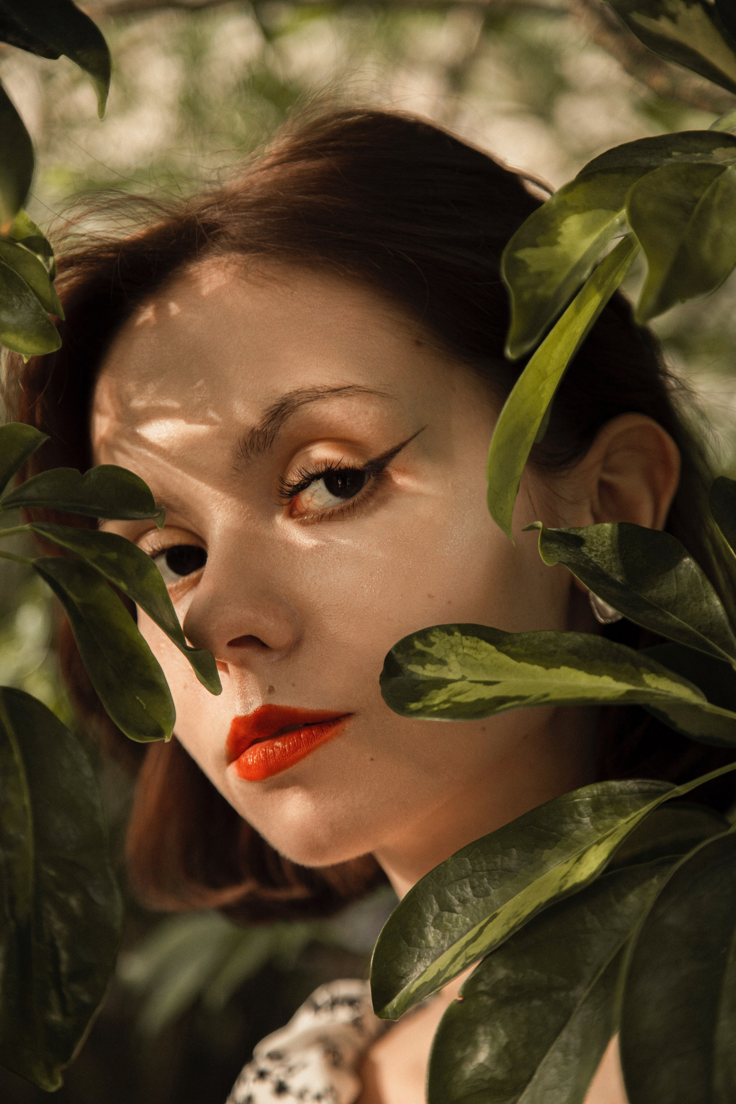 Оранжерея Таврического сада