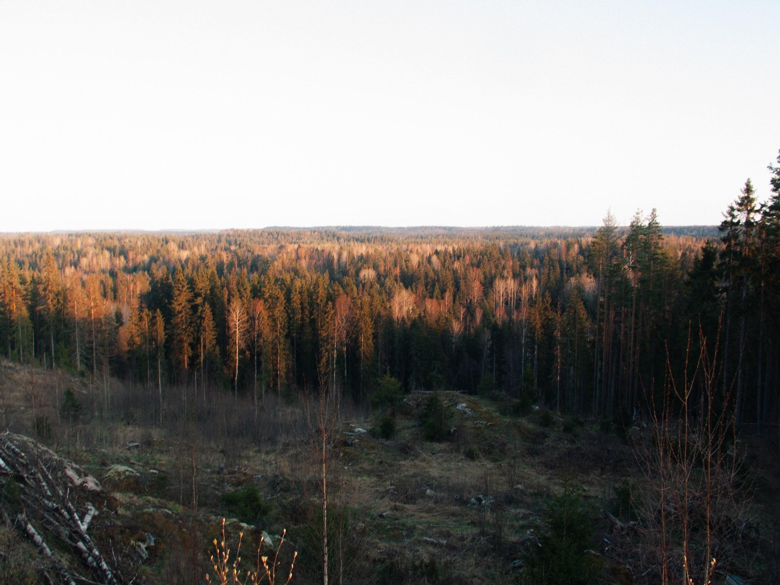 Сплав по Китенйоки | 2025