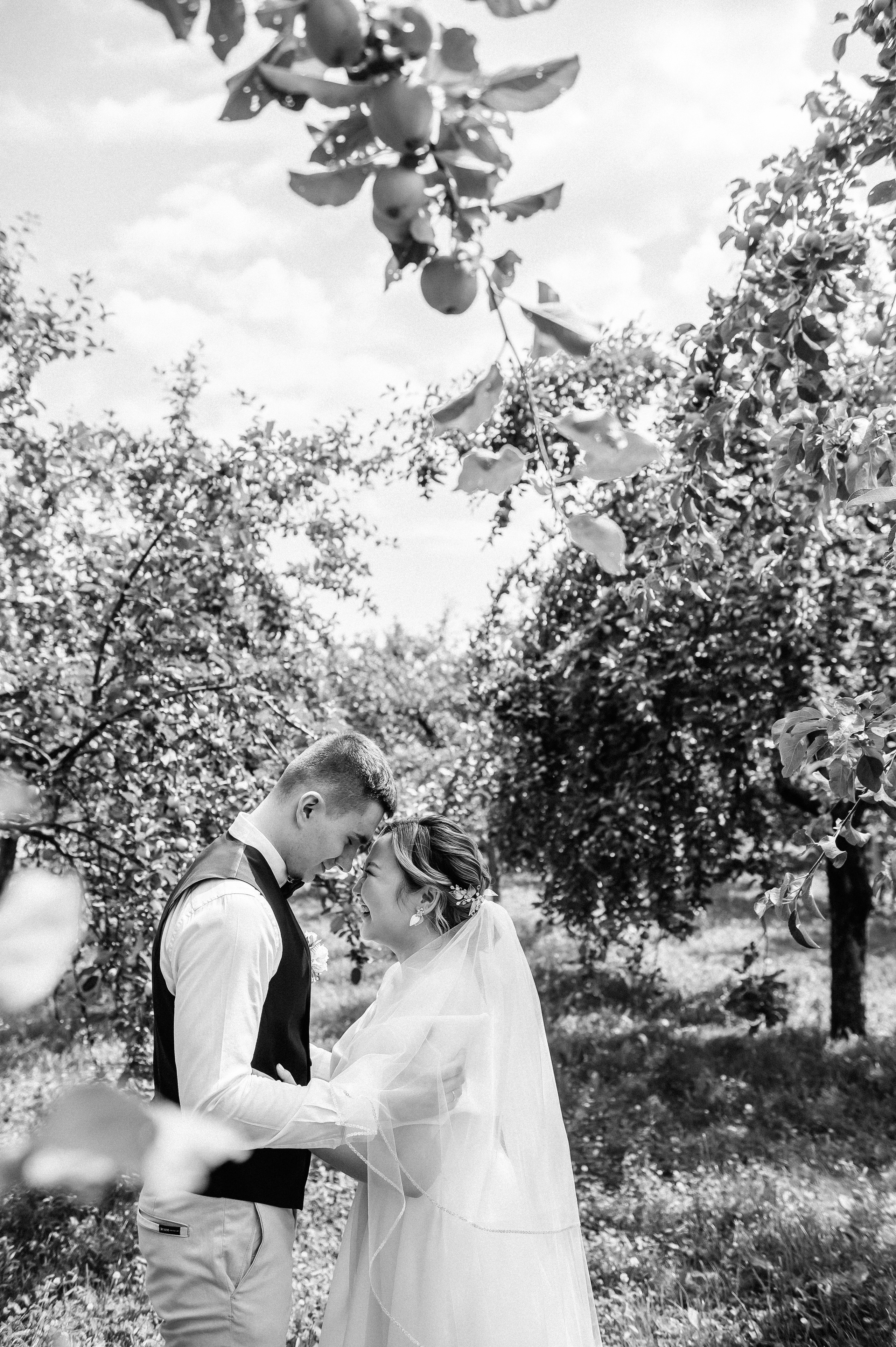 Свадьбы. Анна Пушина, фотограф, Москва, Королев, Пушкино