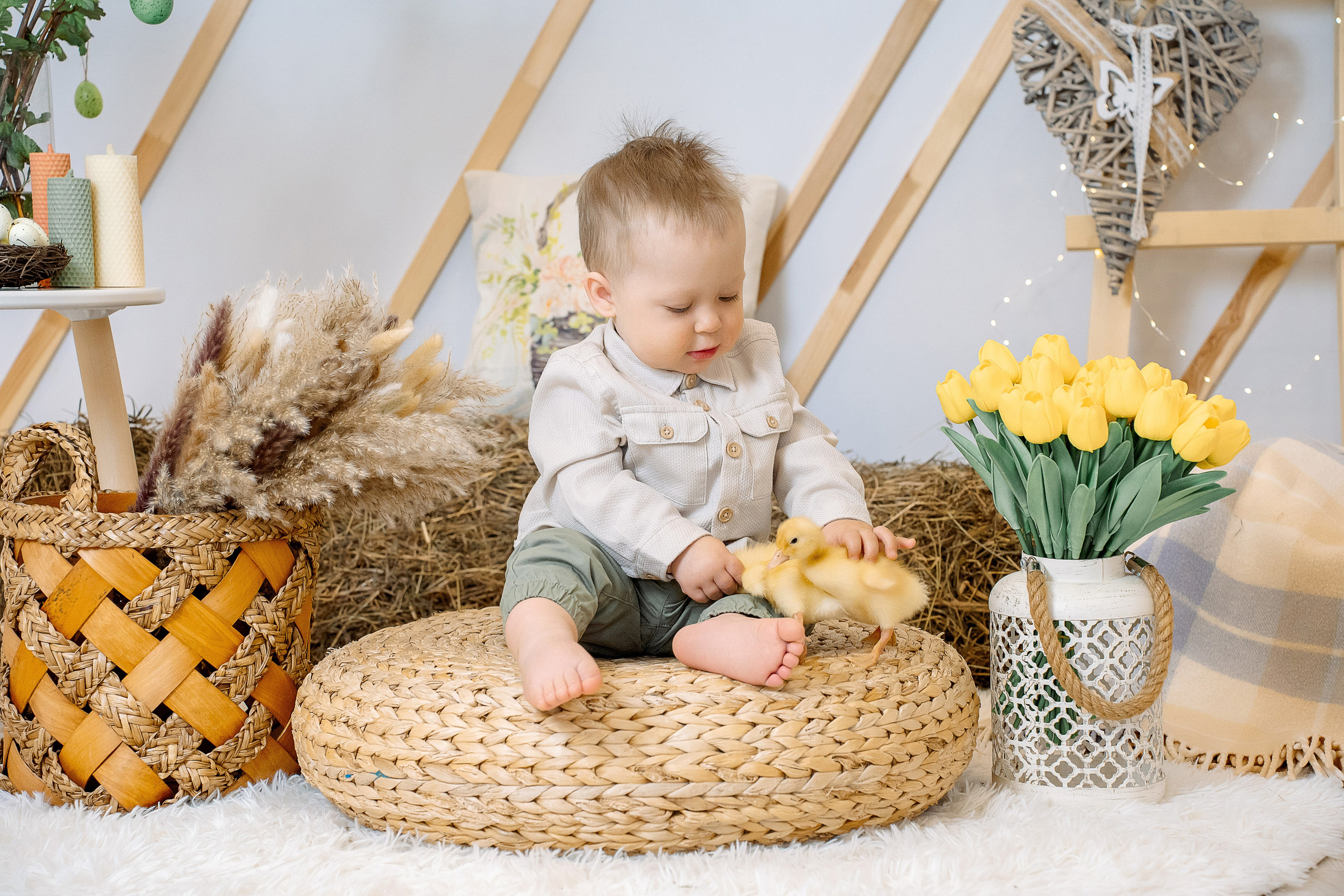 Утята. Фотограф Казакова Анастасия