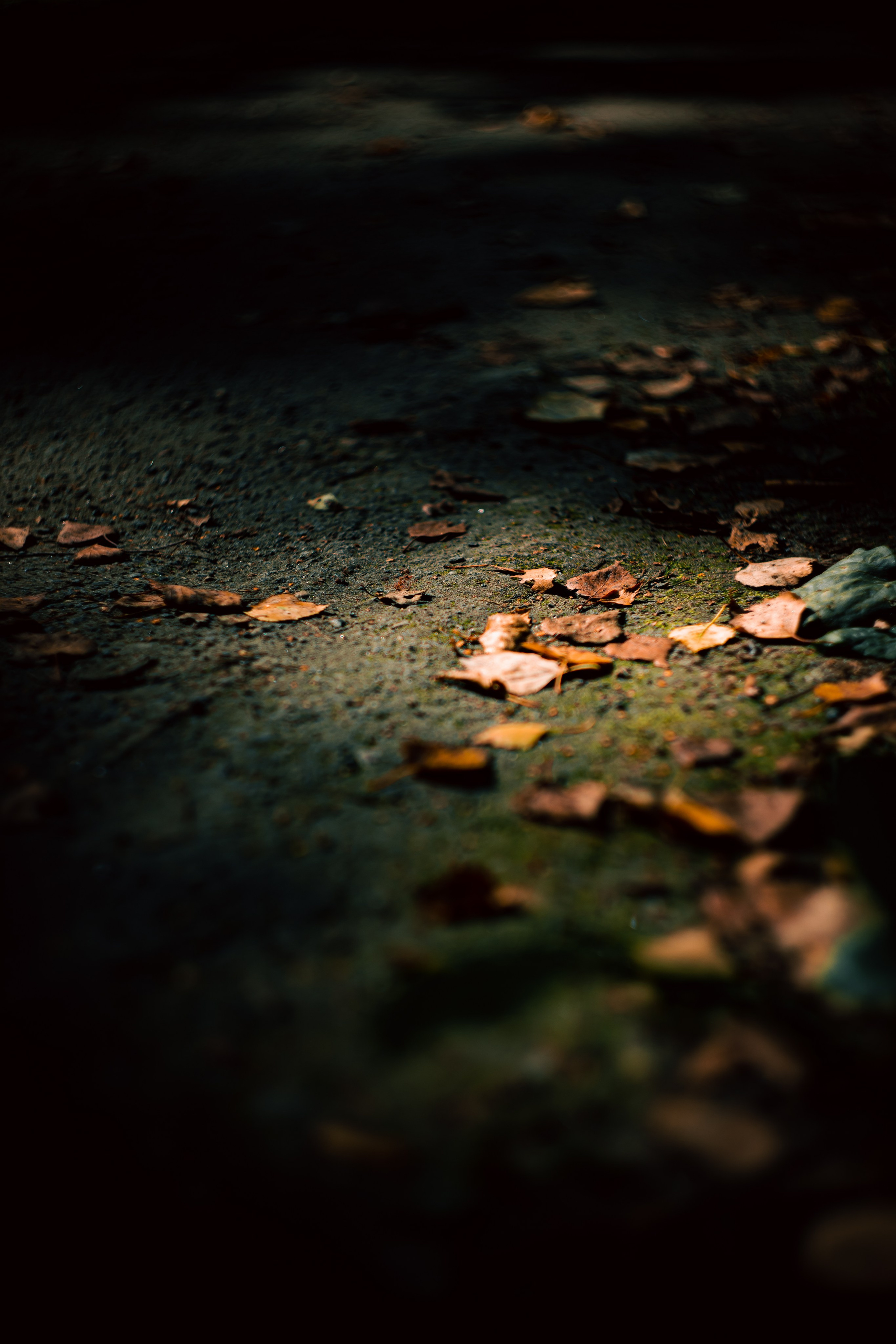 Сентябрь 2024. Efremovaphoto.ru