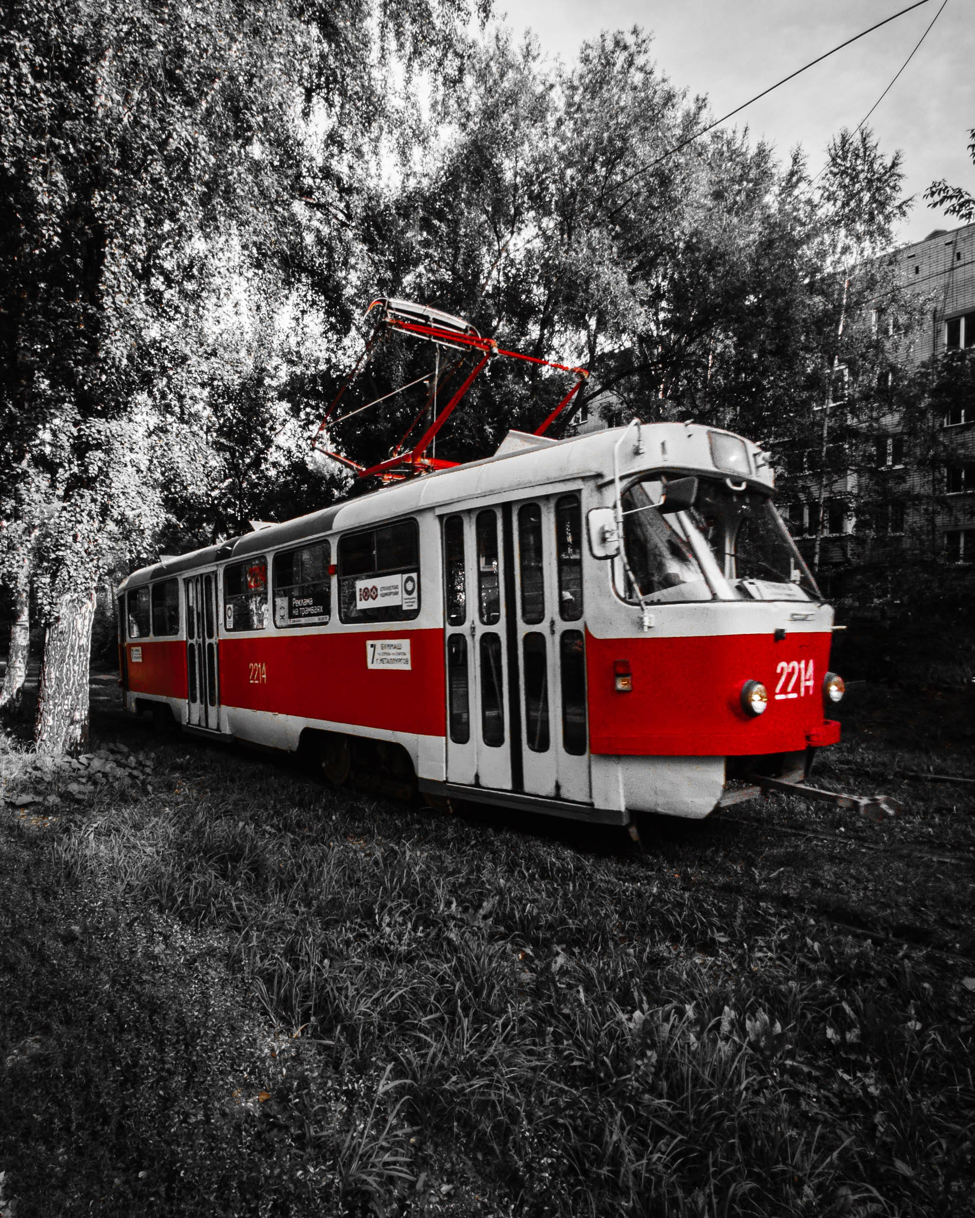 RED. Красный и точка. Олег Романов. Мастер фото по спорту