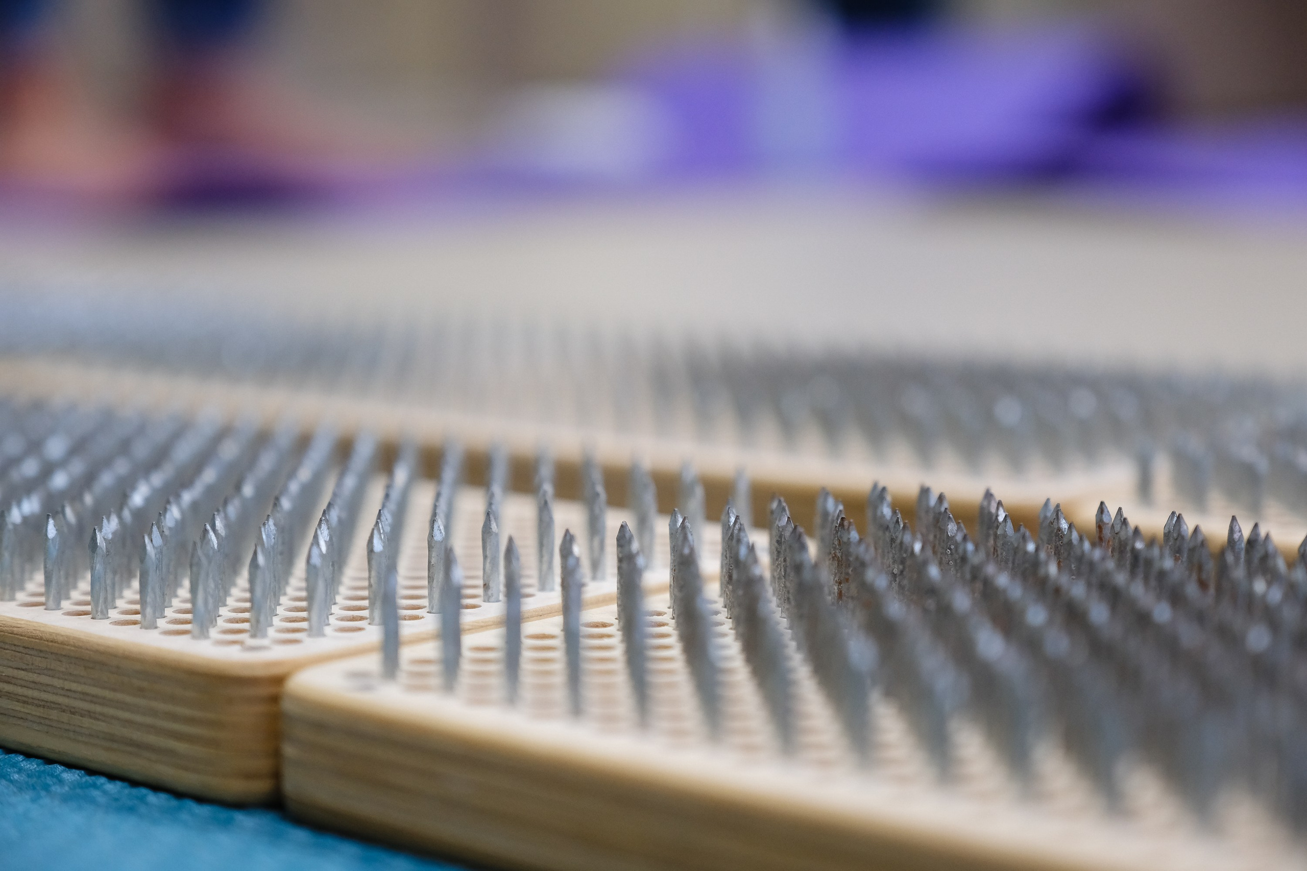 Тимбилдинг. Фотограф Анатолий Деникин