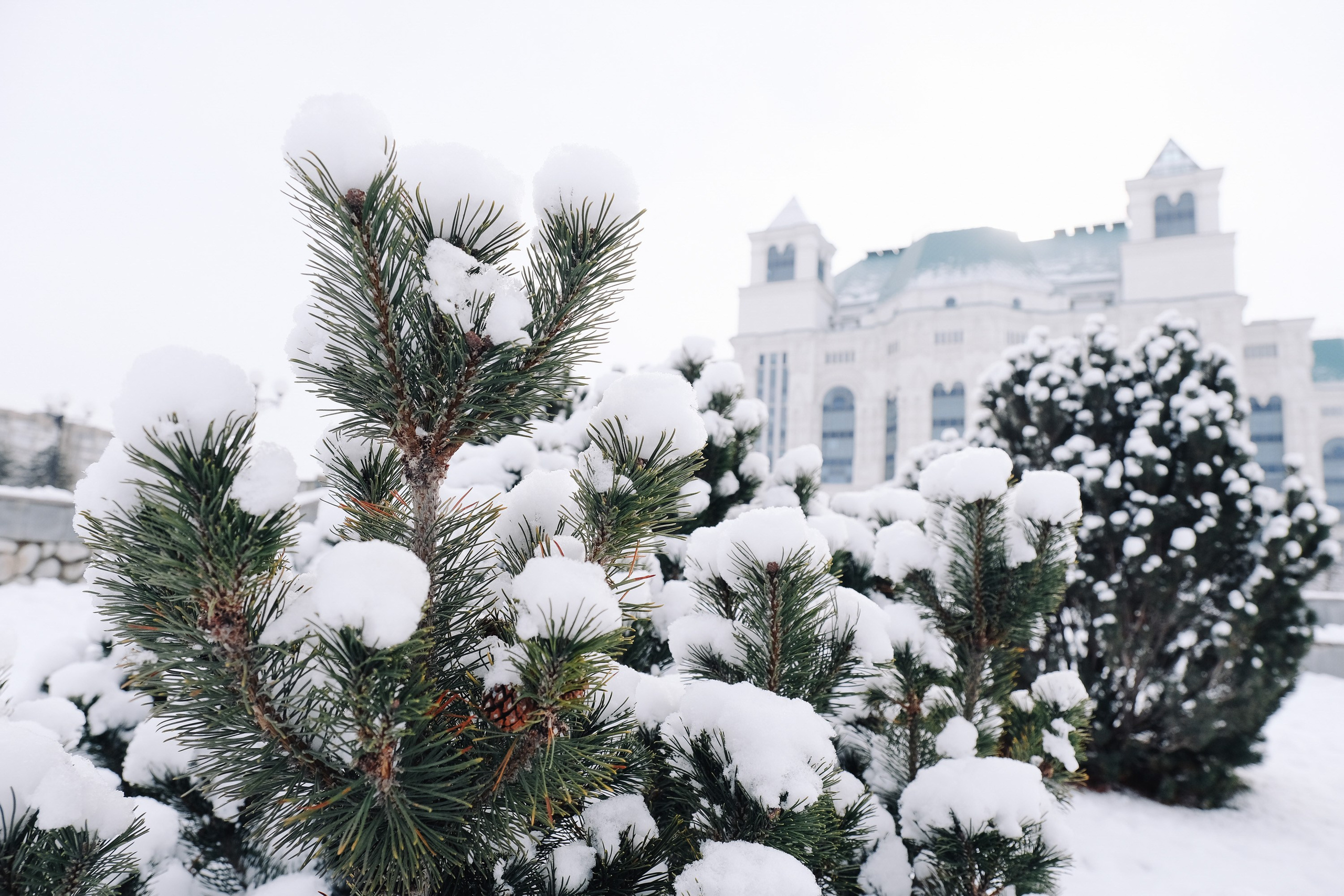 Театральный парк. Зима. Фотограф Анатолий Деникин