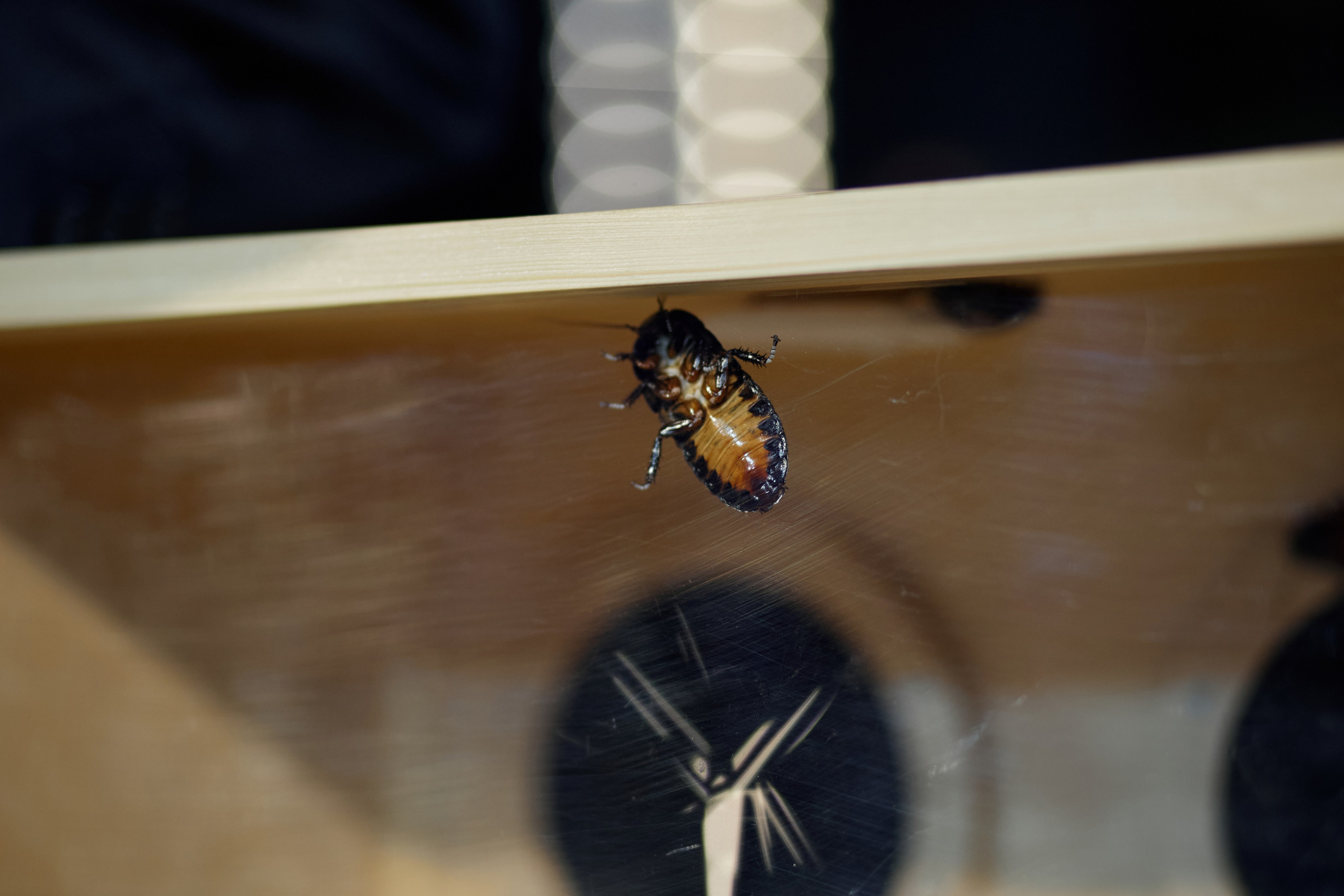 День Рождения Аня. Свадебный фотограф Челябинск, Екатеринбург, Курган — Виктор Слуднов