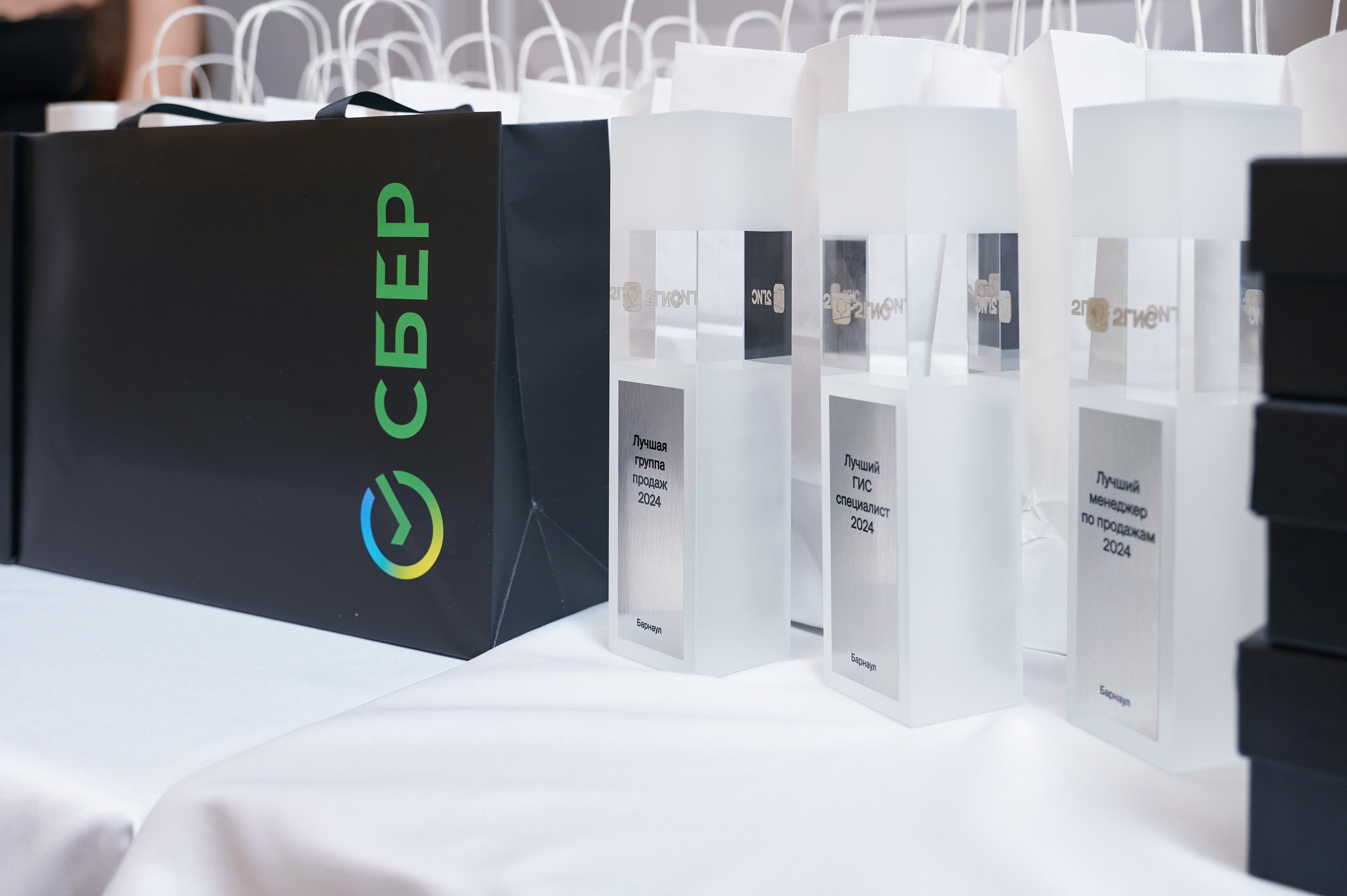 2ГИС НГ 2023-2024. Фотограф Опыт Качество Скорость Горный Алтай Барнаул