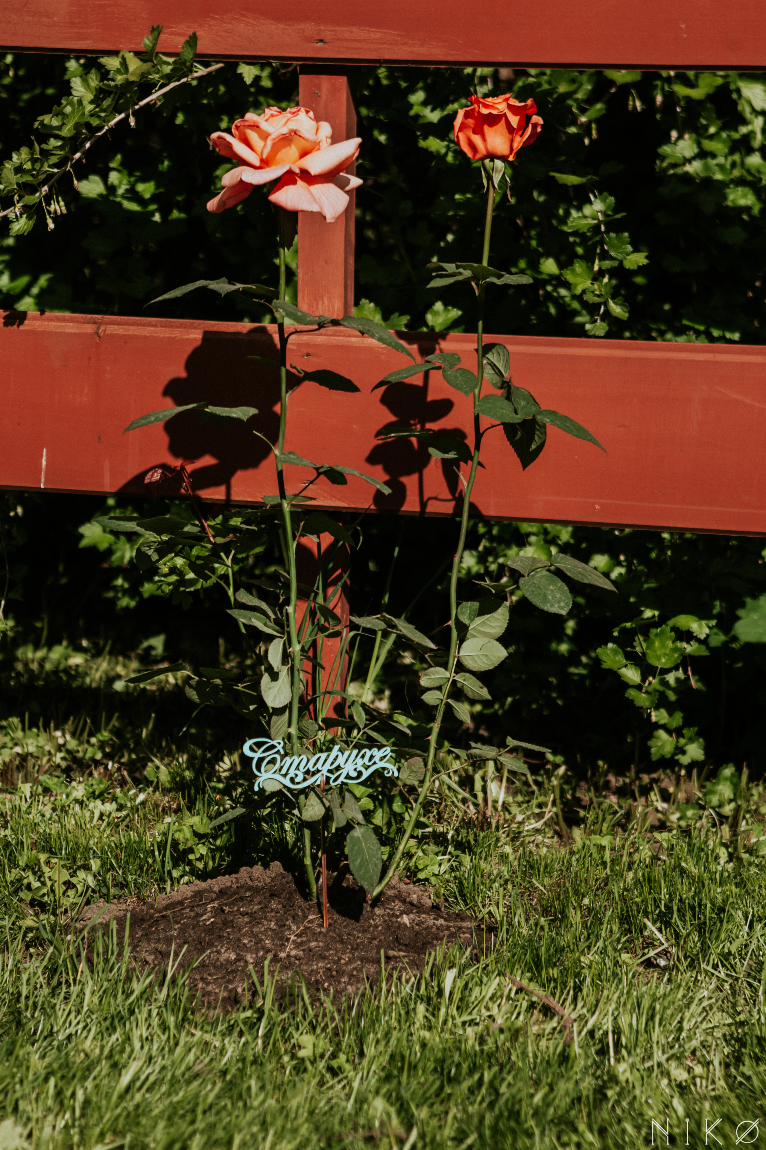 День рождения Ирины. Фотограф Николь Фолиянц