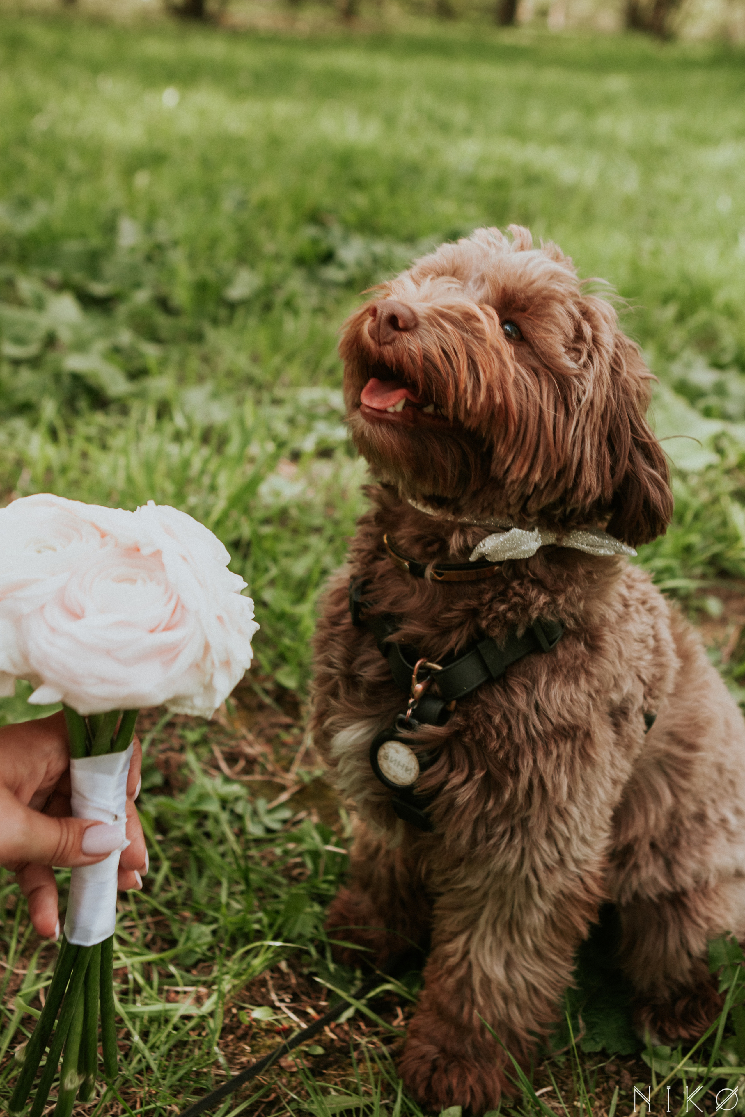 Злата & Игорь. Фотограф Николь Фолиянц