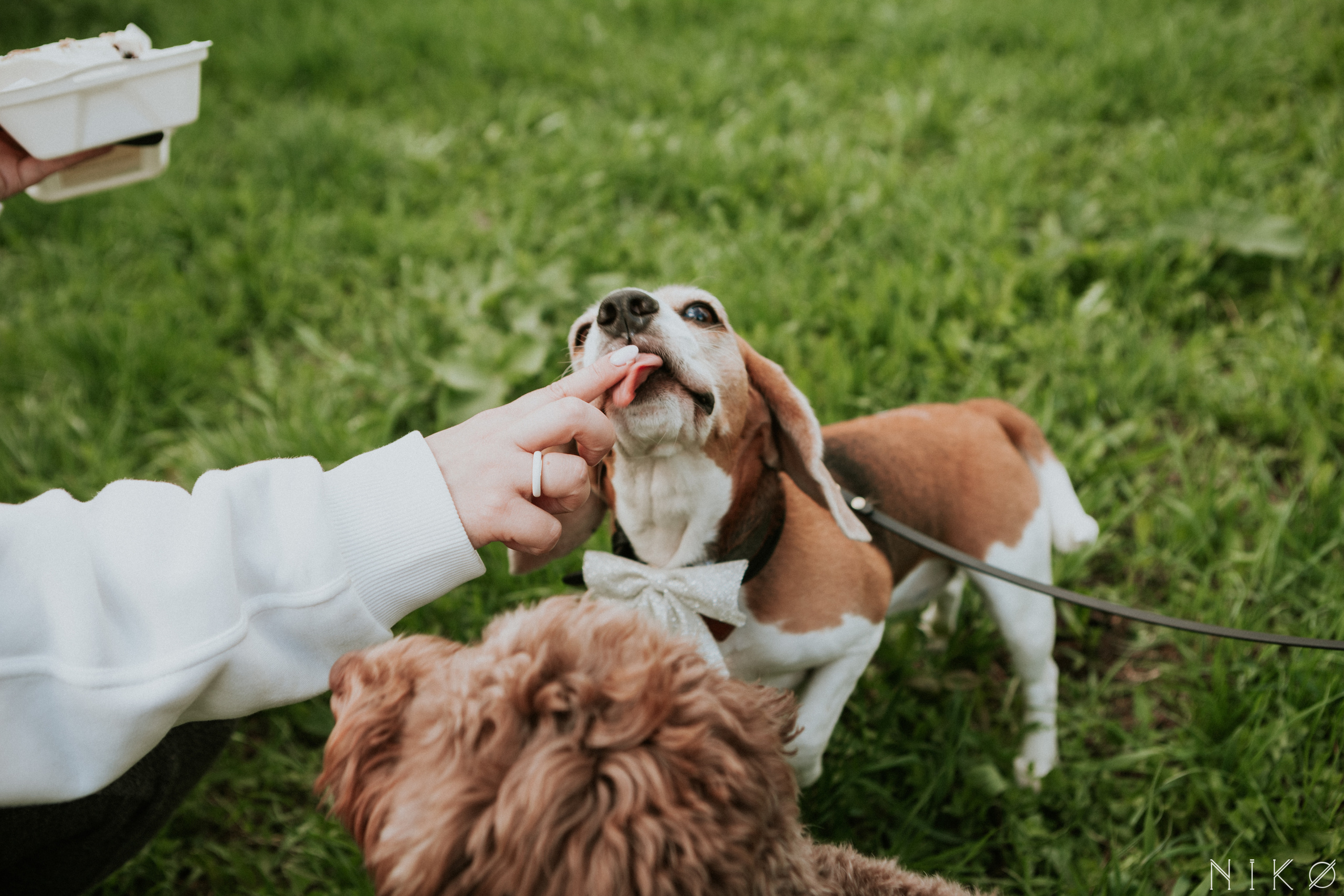 Злата & Игорь. Фотограф Николь Фолиянц
