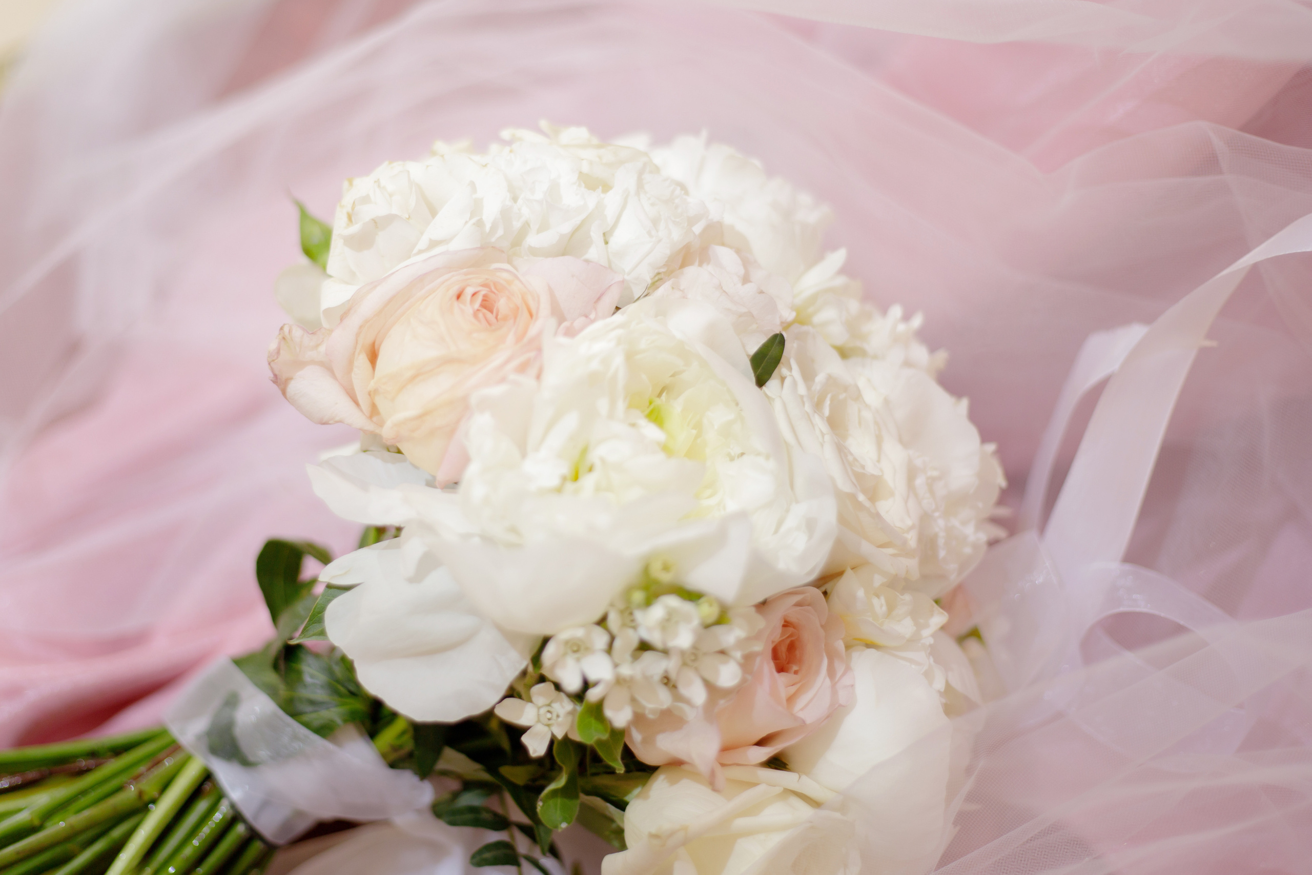 Вефа и Рахиб. Светлана Иванова - профессиональный фотограф