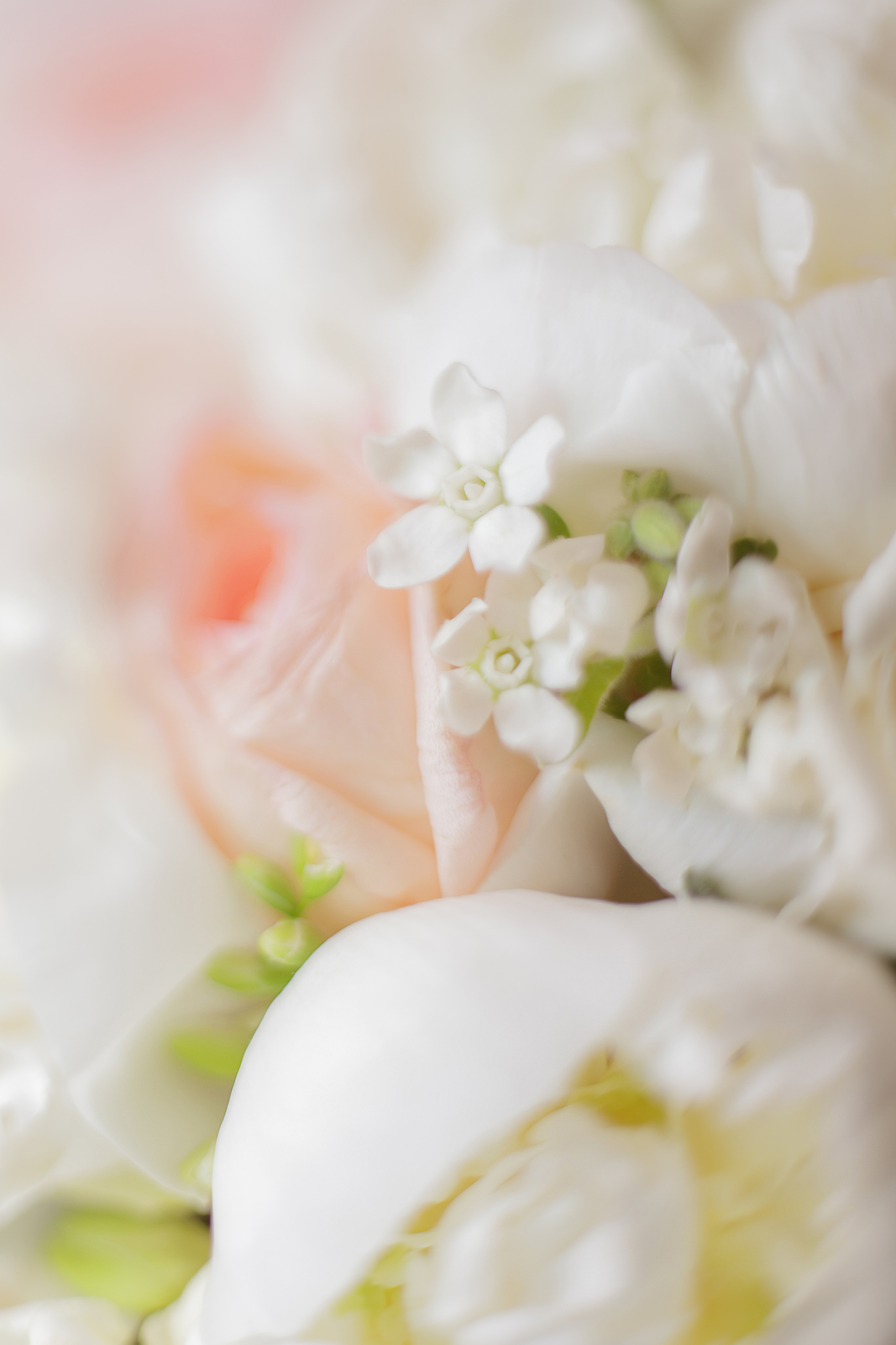 Вефа и Рахиб. Светлана Иванова - профессиональный фотограф