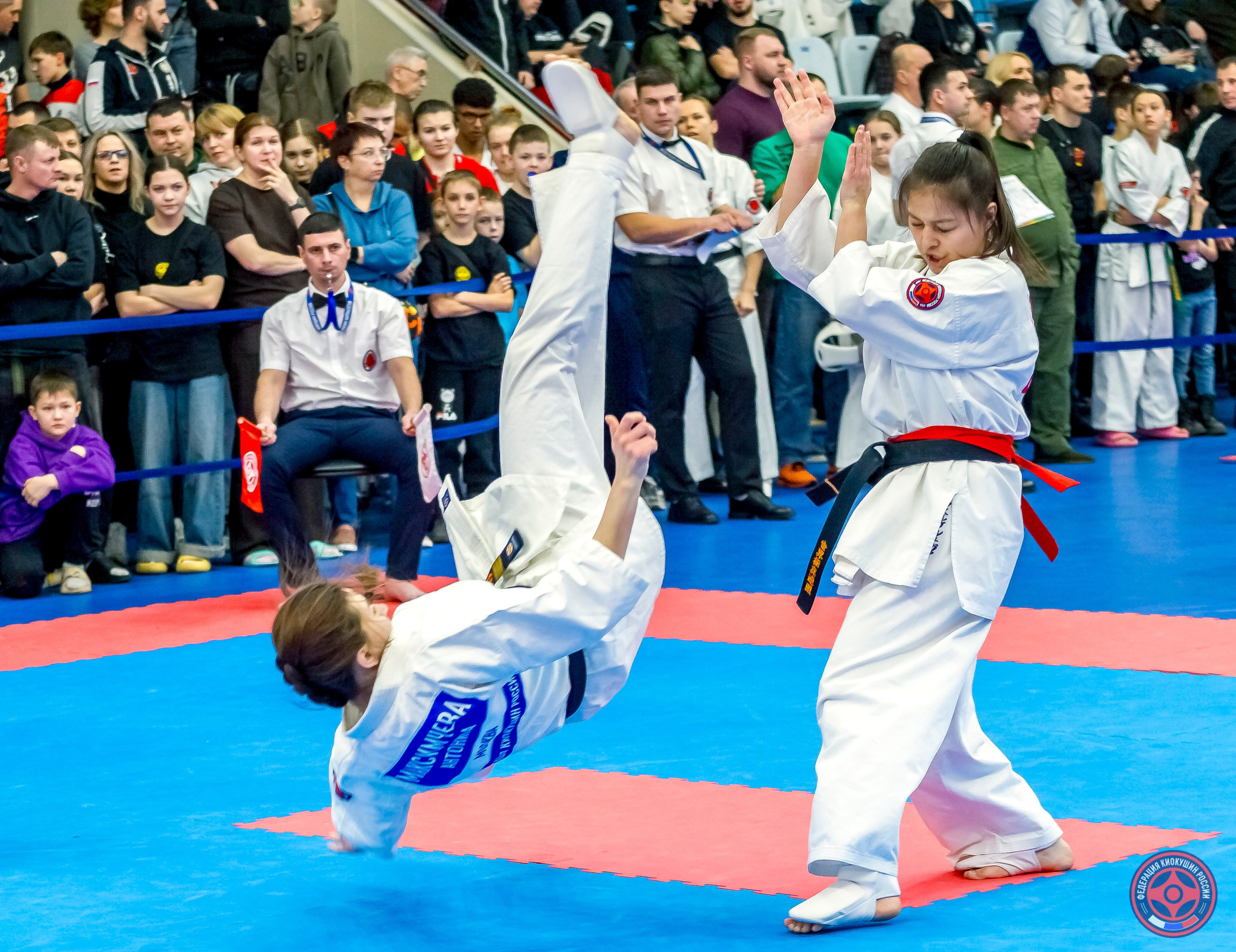 Международный турнир по киокушин «Открытый кубок Seiken». Репортажная съемка в Москве и области. Анималистика