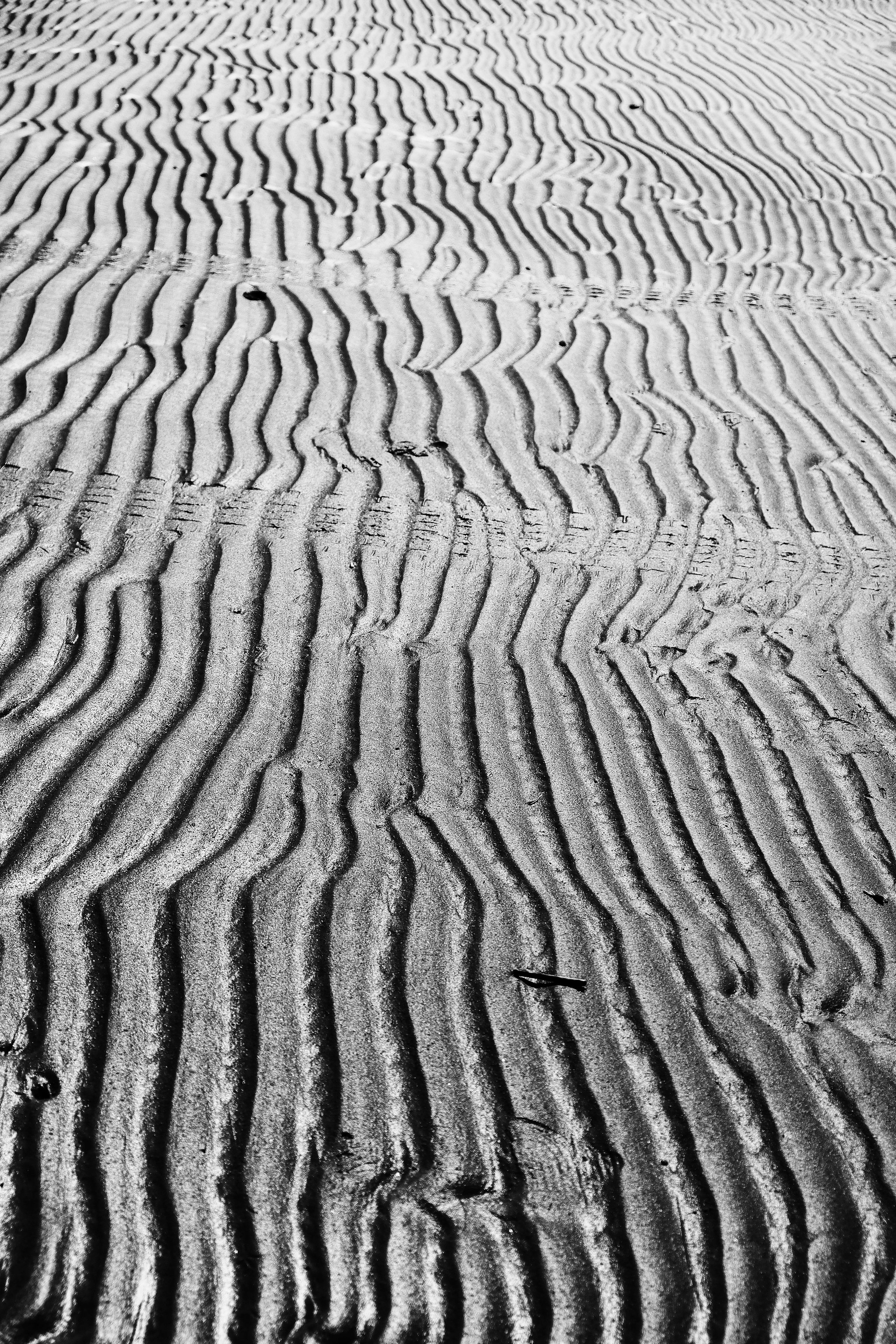 Михаил. Портретный и арт-фотограф в Санкт-Петербурге и Выборге Олег Борцов