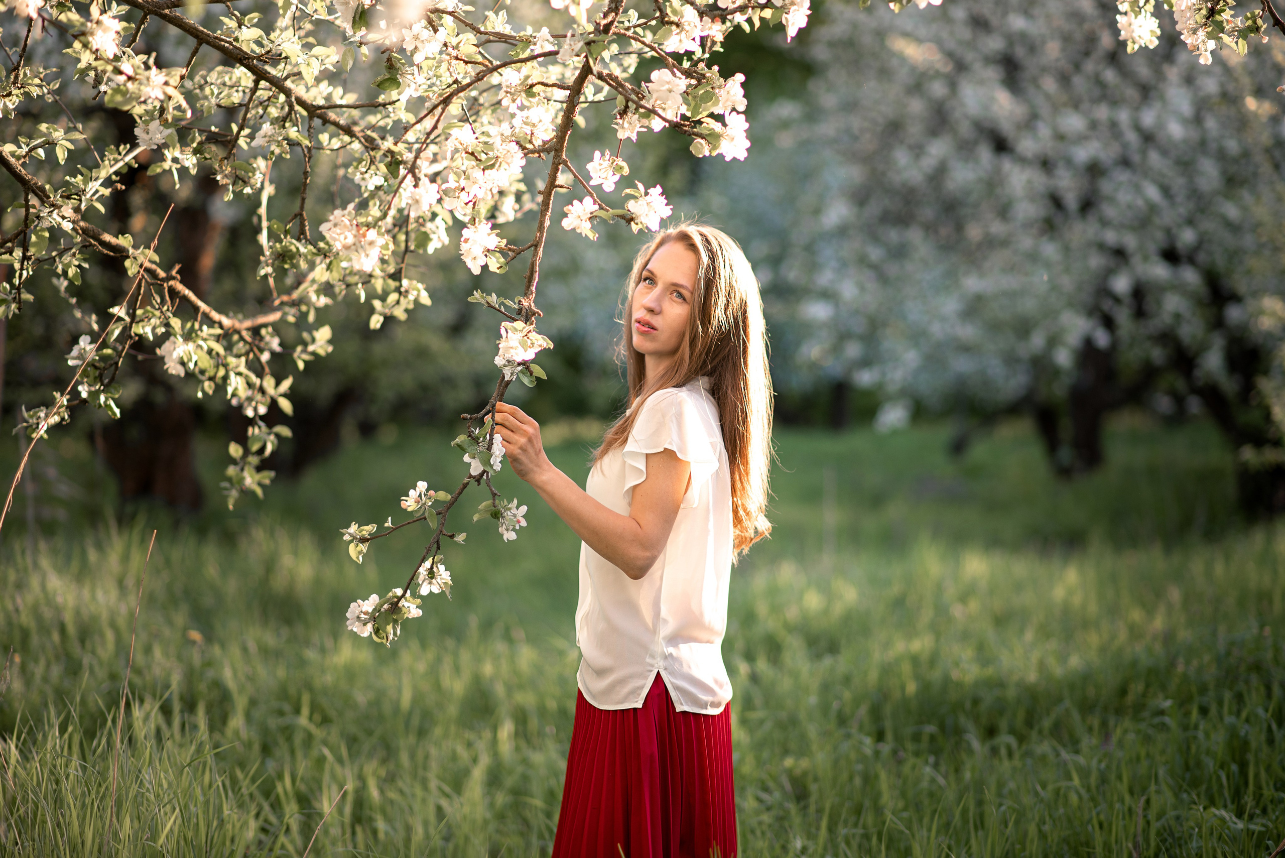 Семейная фотосессия в цветении. Ясная Поляна. Семейный и детский фотограф в Туле Светлана Воронкова