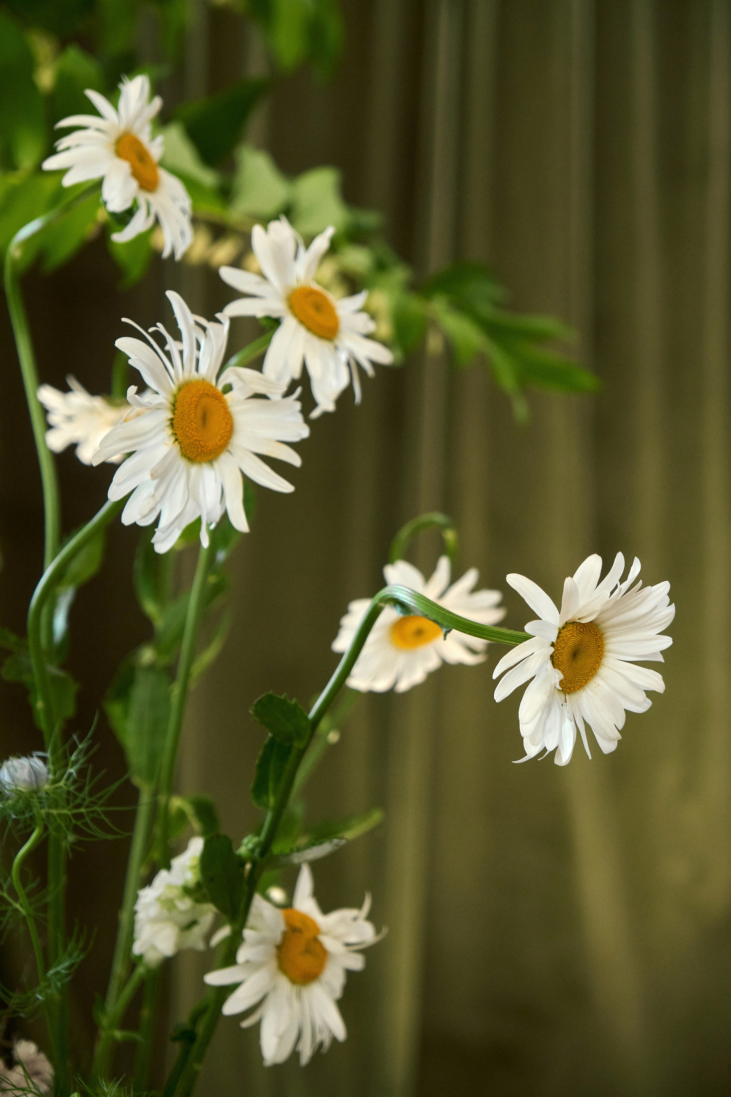 Мужской ДР «Жить ОХОТА». Оформление свадеб, декор свадеб Вера Маркова, Москва