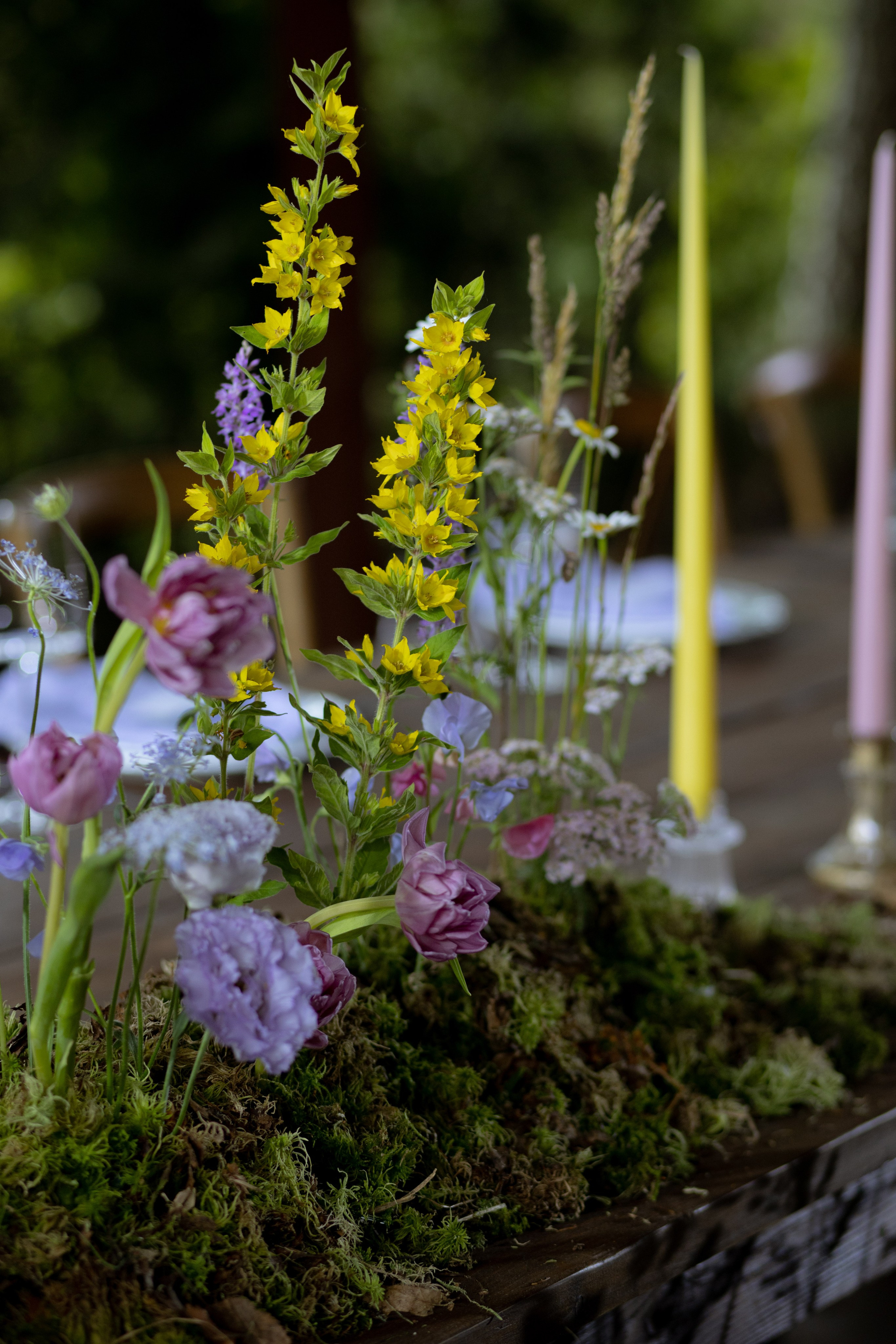 Павел & Полина. Оформление свадеб, декор свадеб Вера Маркова, Москва