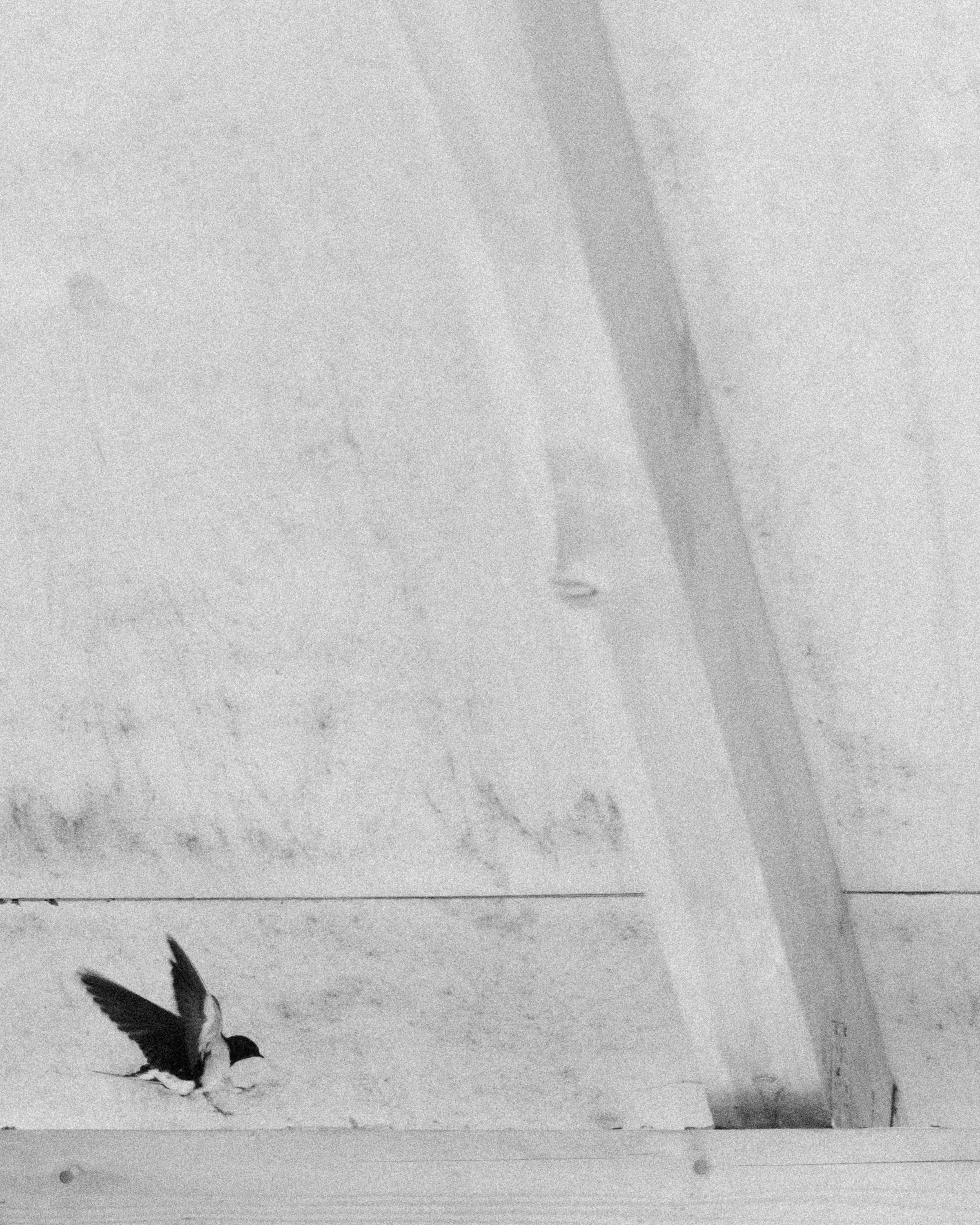 Открытие сезона созерцаний. Репортажный и портретный фотограф во Владимире Сергей Кравцов