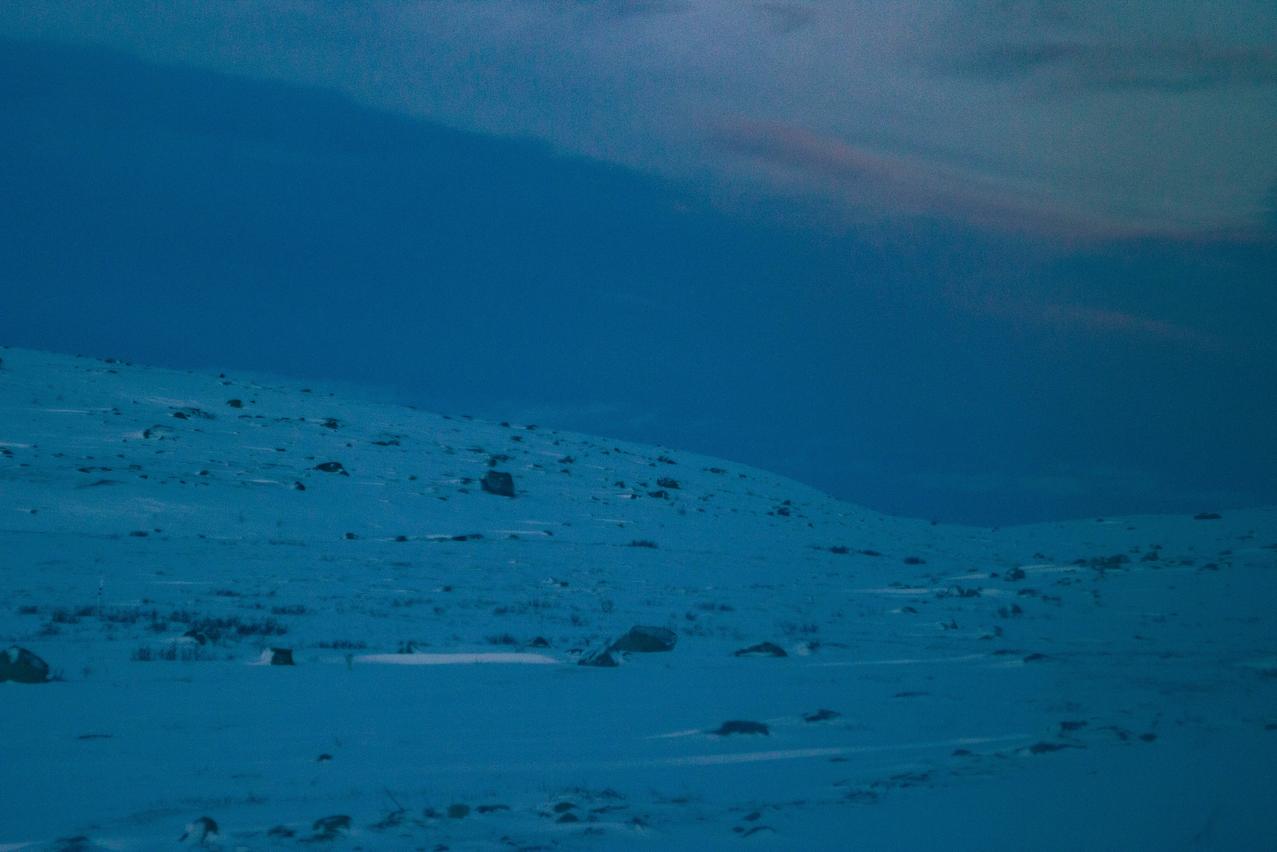 На севере жить. Пейзажная фотография. Репортажная и портретная фотосъёмка