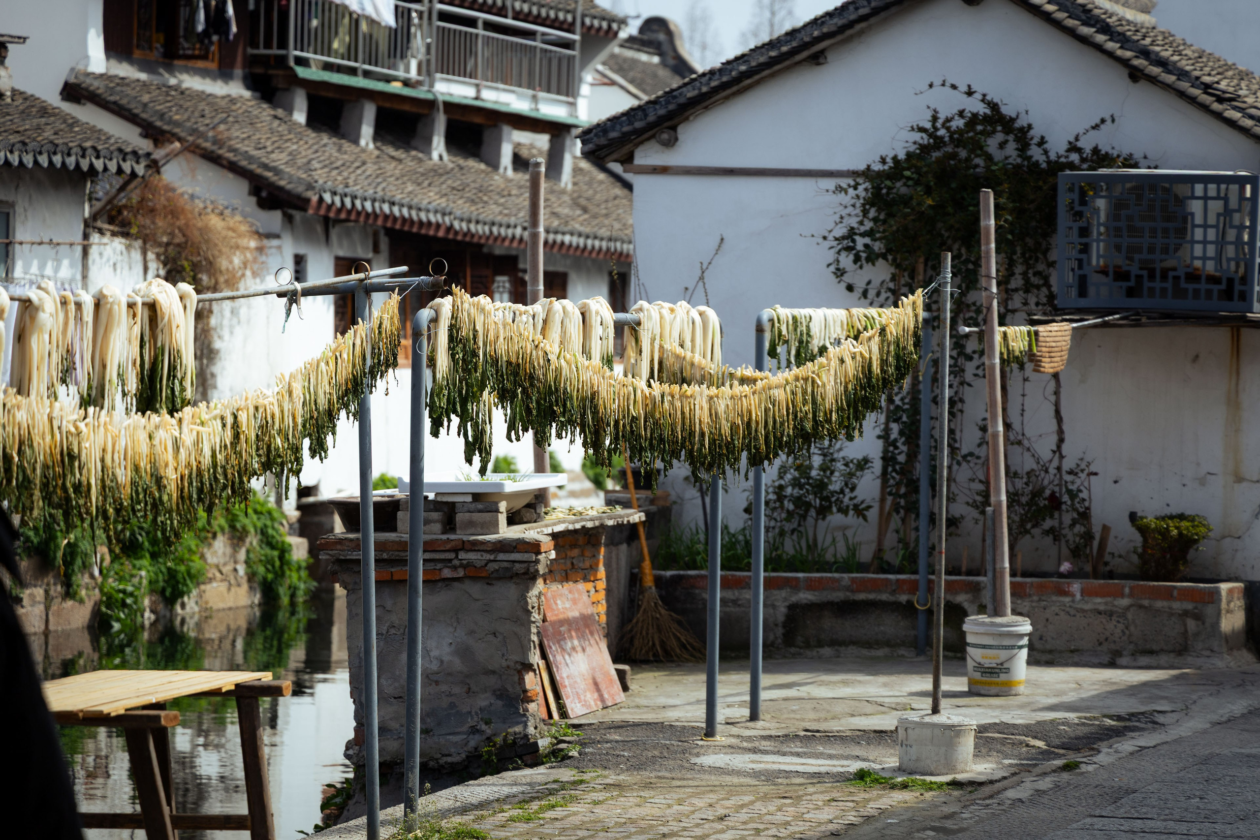 Шанхай (март 2026). Фотограф Виноградов Константин