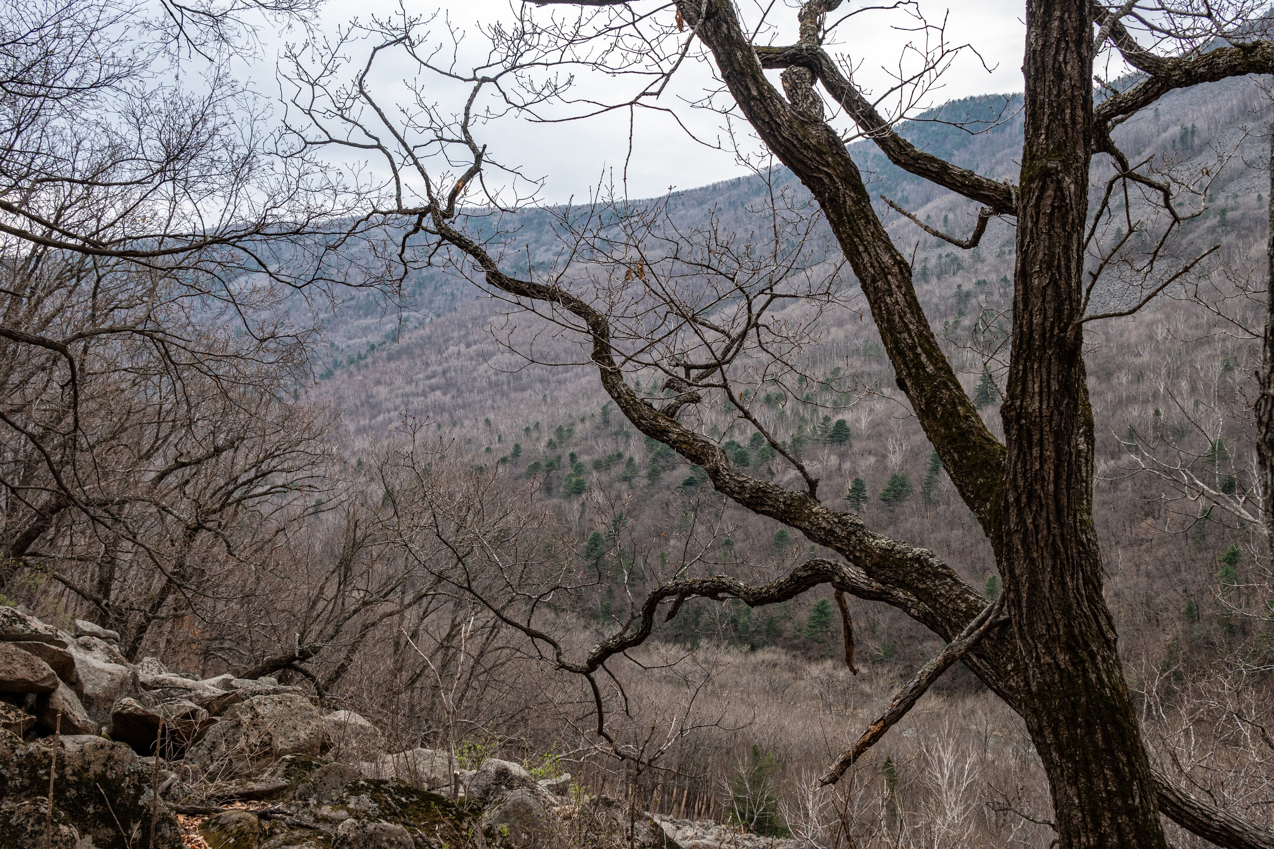 Ущелье Дарданеллы. Репортажный и портретный фотограф во Владивостоке Денис Седов