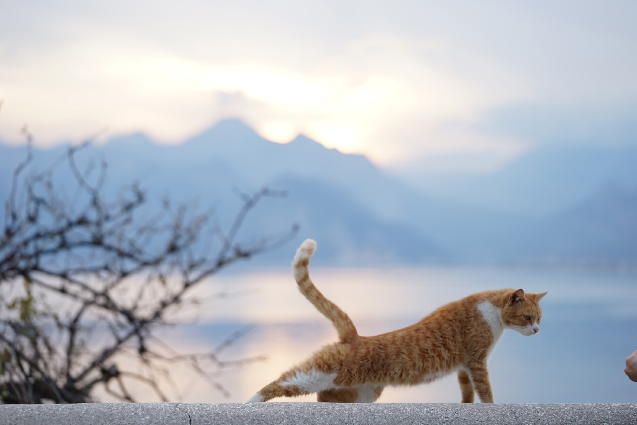 фототуры 2026