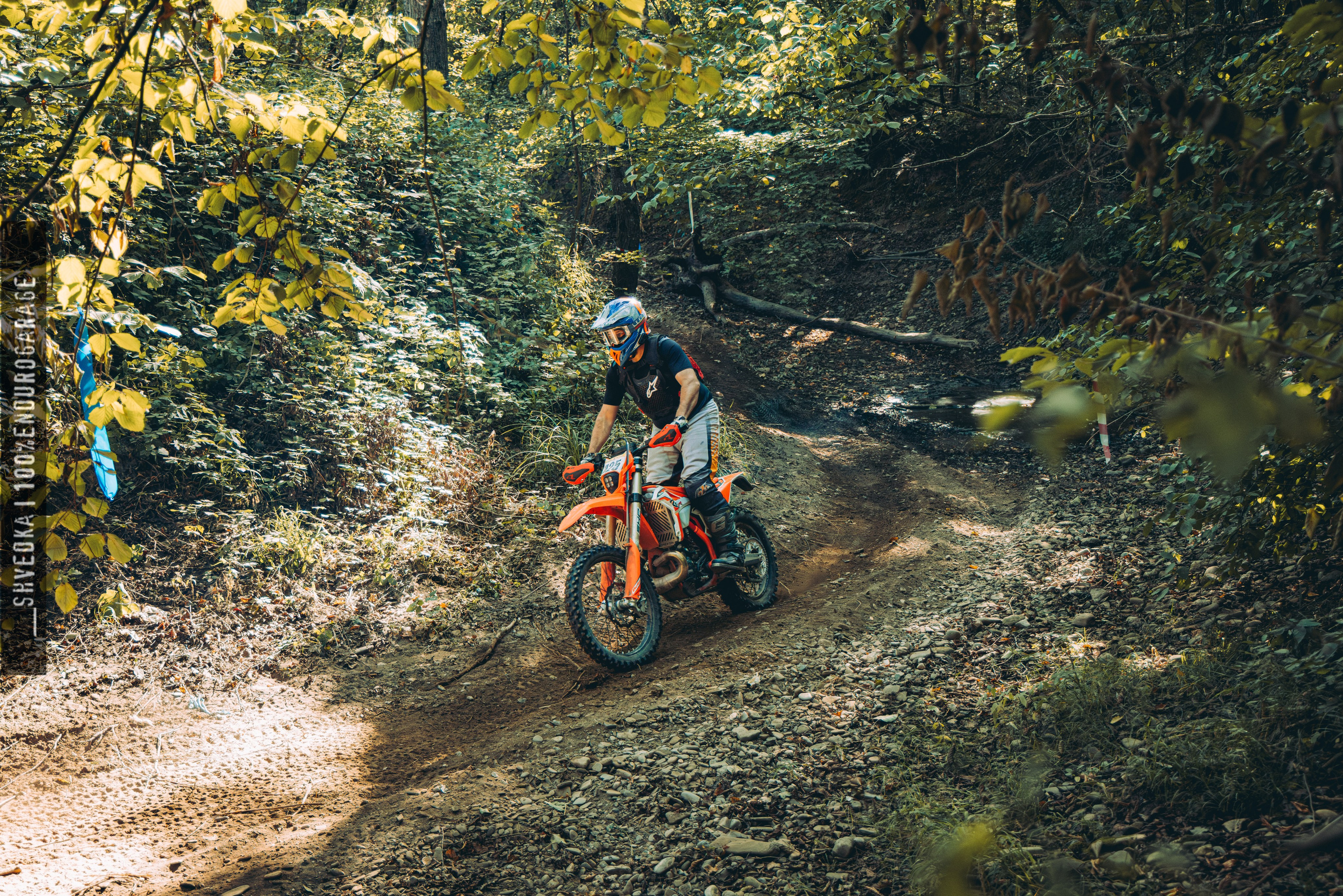 2 лесной день. Ваш экстрим фотограф Кудрева Яна