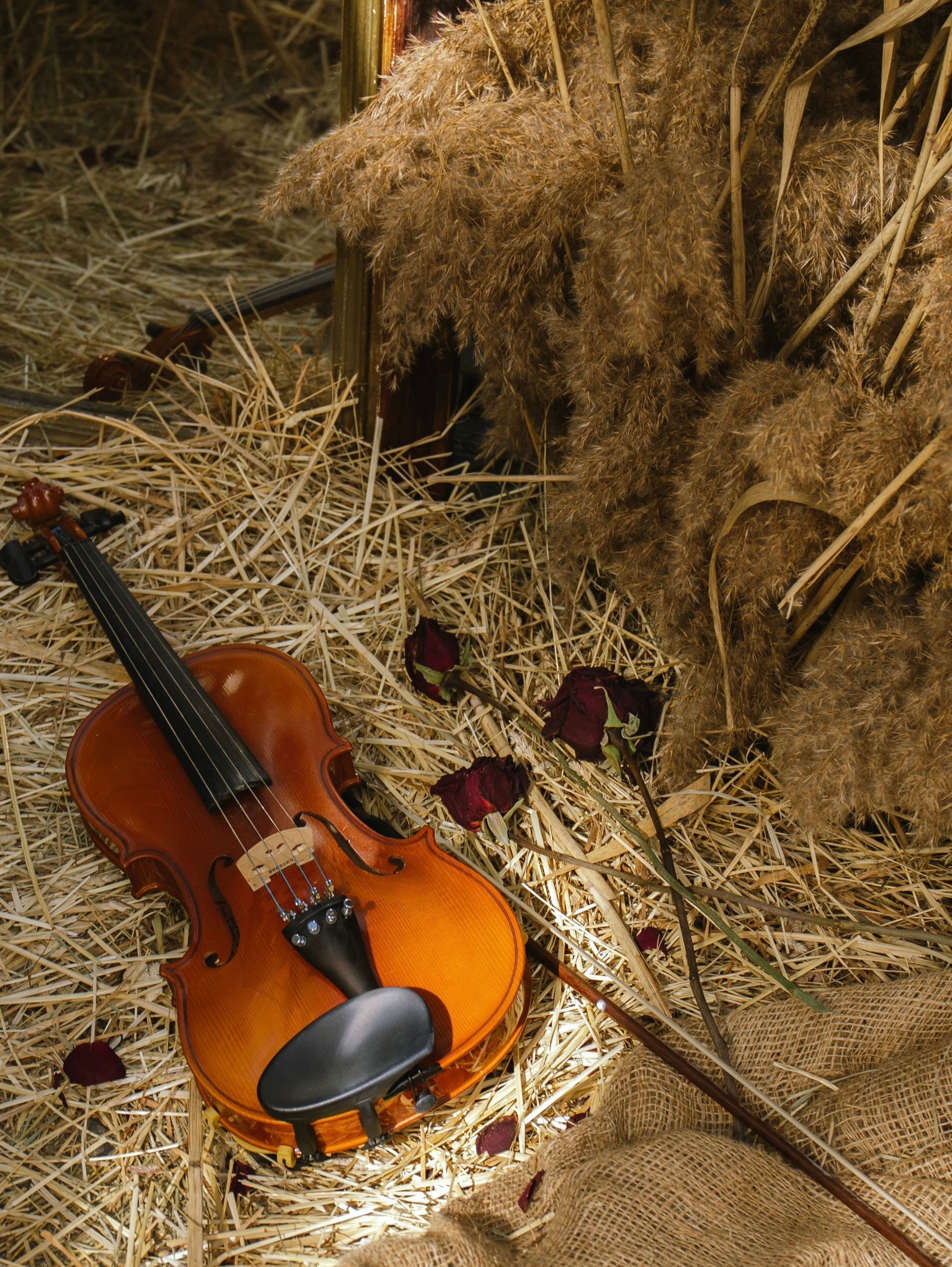 История со скрипкой. Свадебный и семейный фотограф в Москве Мила Широких