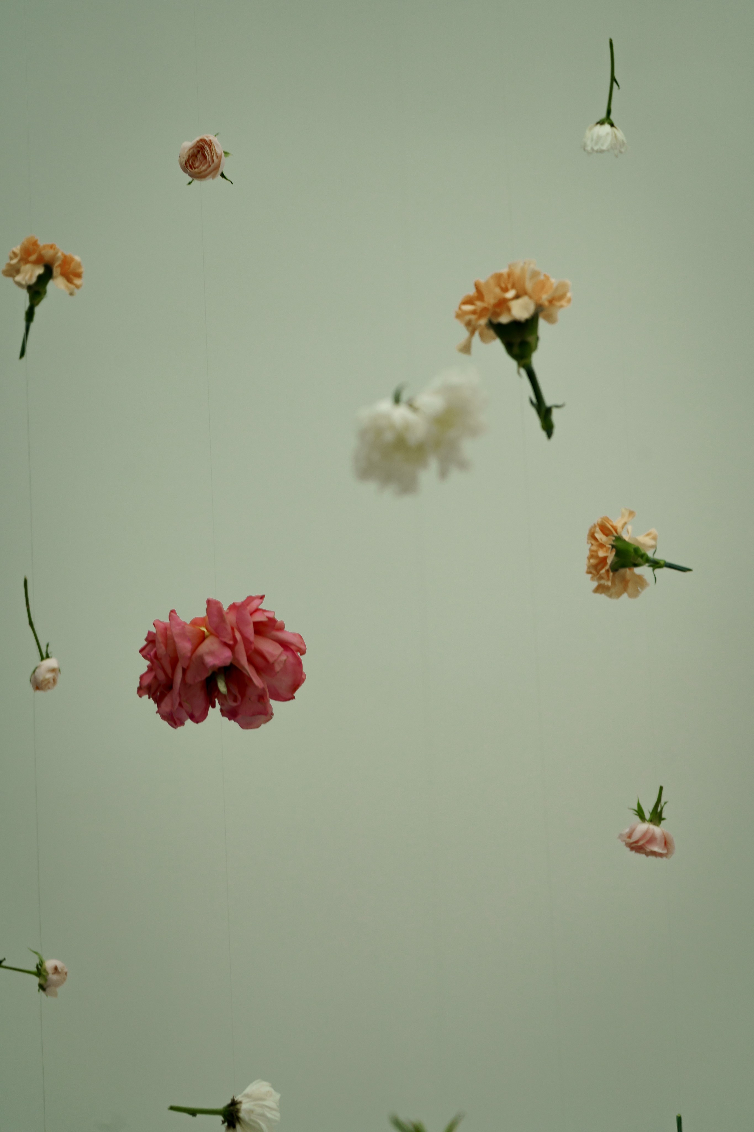 ЭТА СТУДИЯ. Photokarish