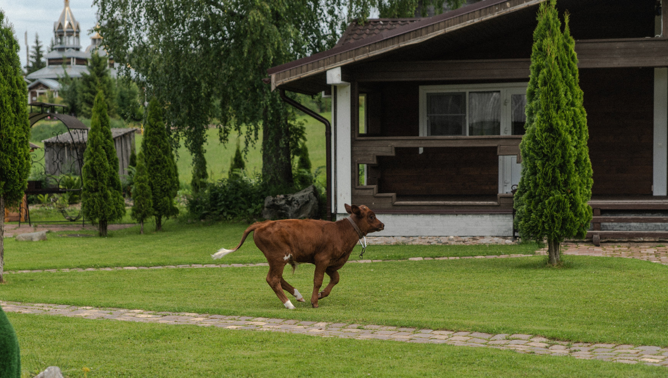Land Rover Trip-9. Жуков Илья  свадебный фотограф в Москве