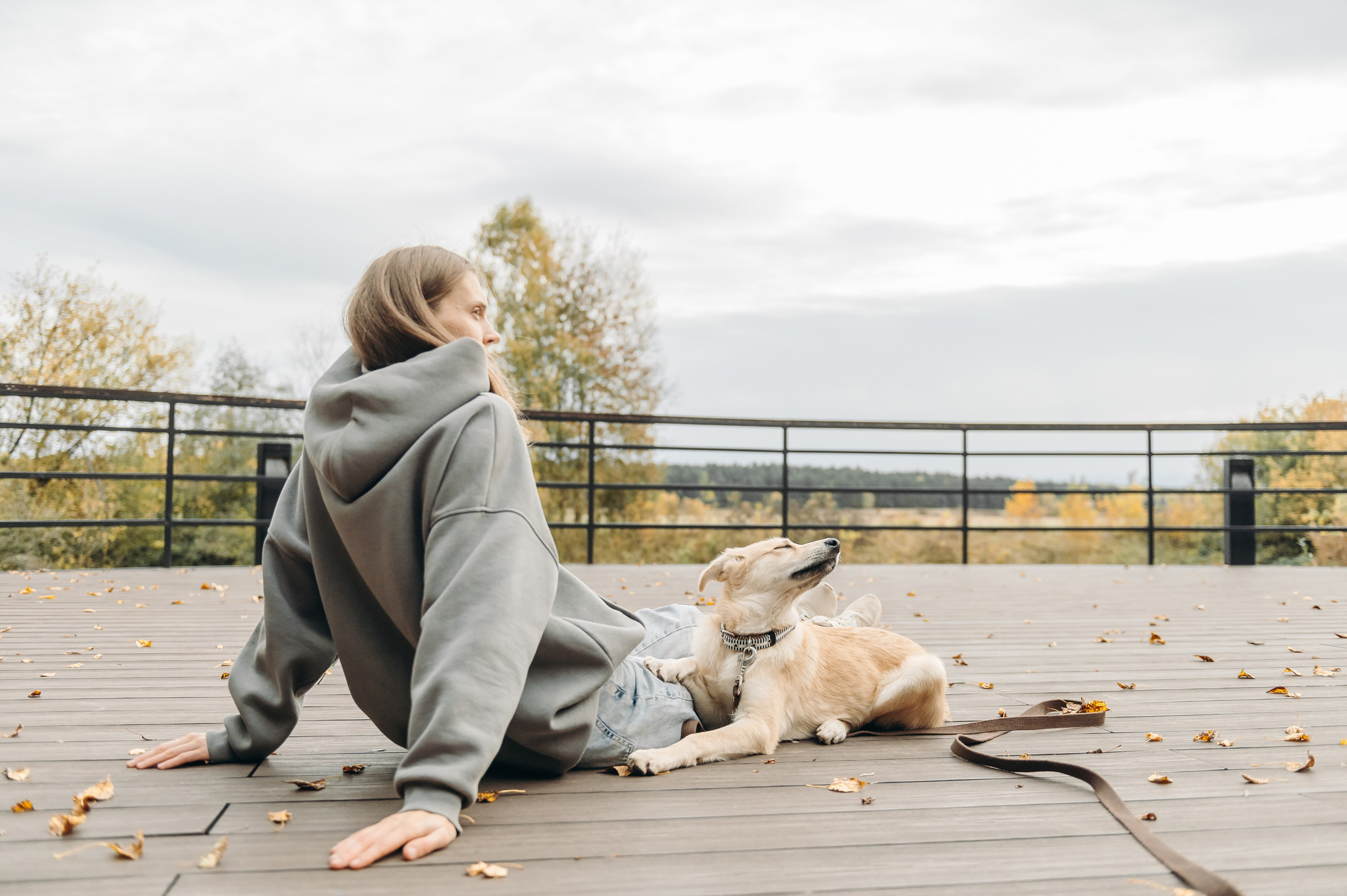 Анималистика. Главная