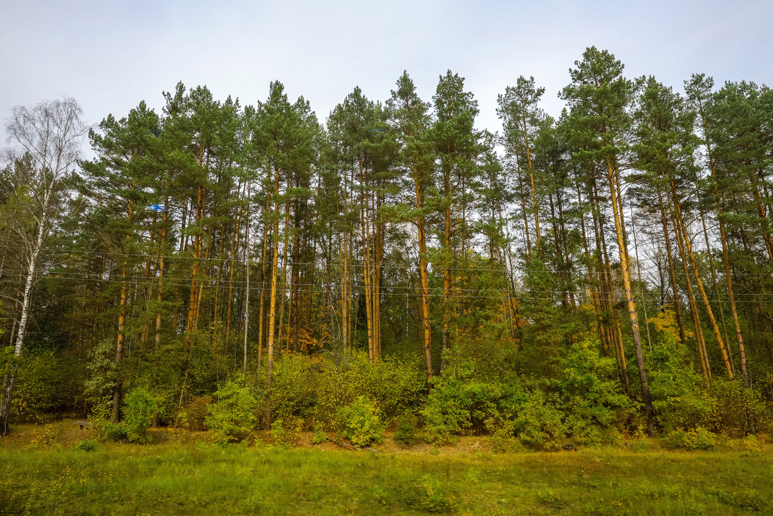 Поездка в Белев и на производство пастилы. Фотограф в Туле Крупский АнДРей. Фотостудия «КАДР71» в Туле