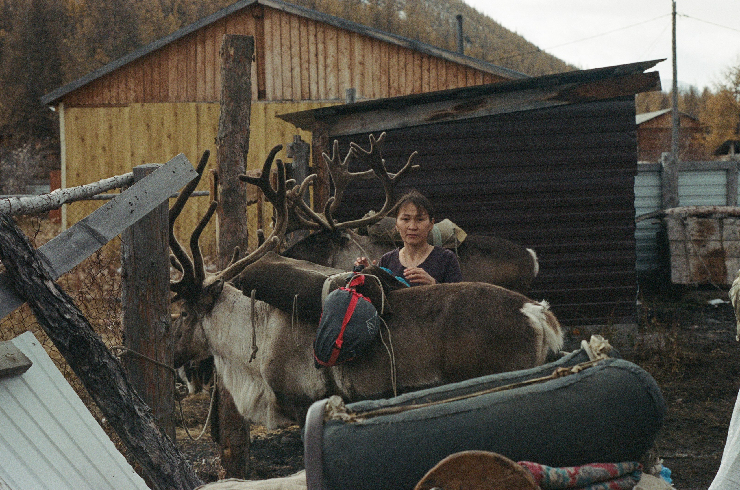 Не забудь накормить озеро. Natalya Madilyan