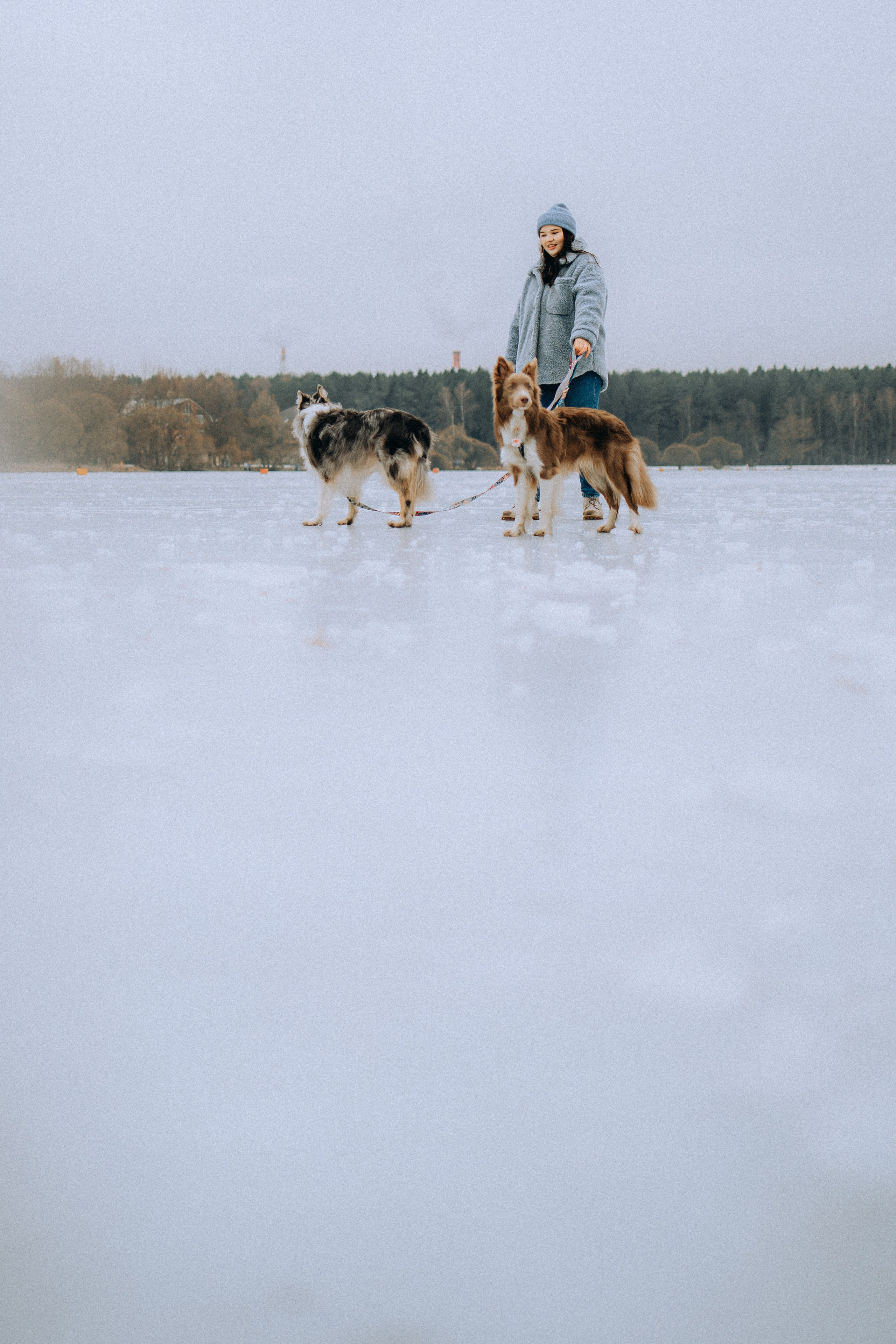 Полина, Милли и Паддингтон