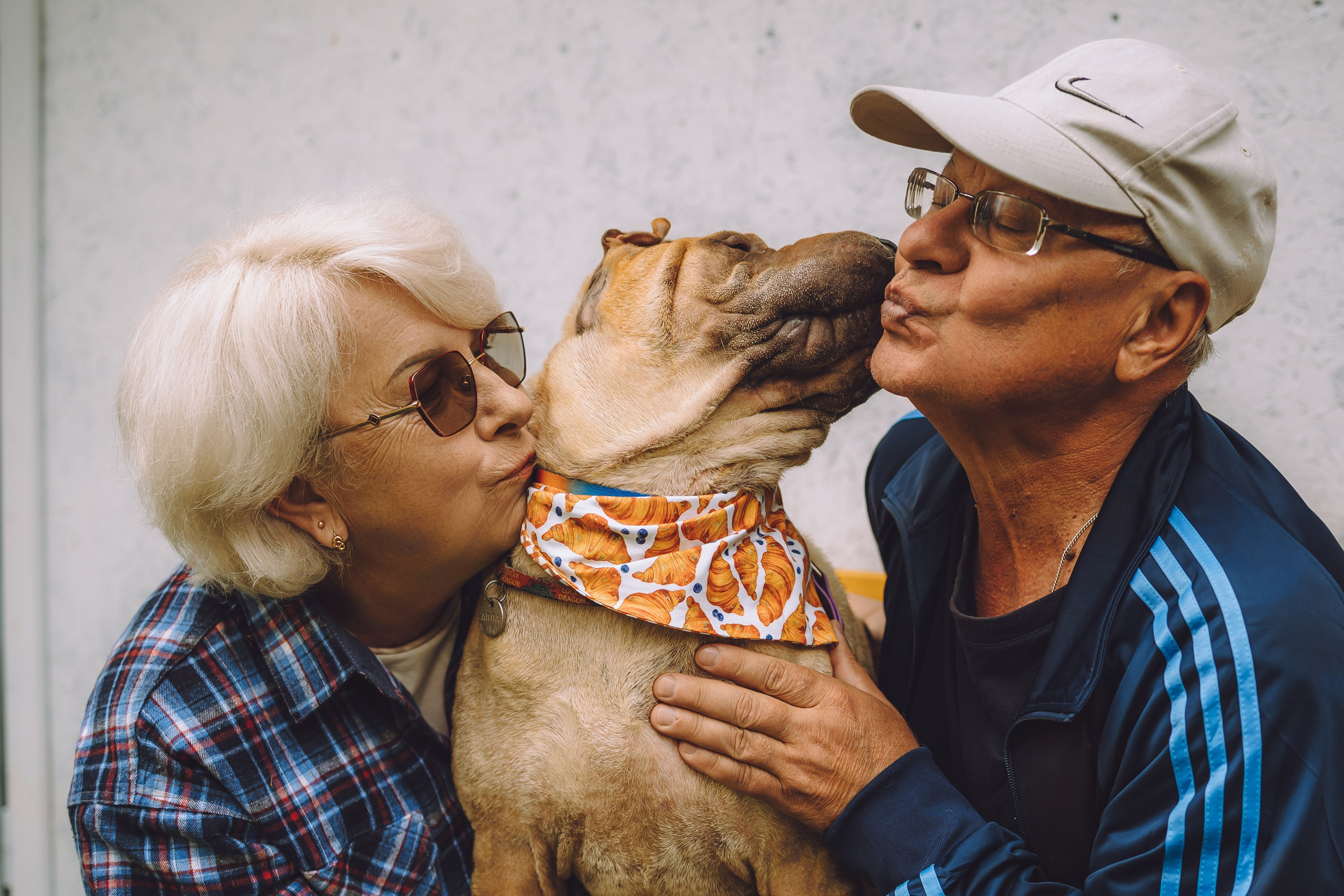 Выездной дог-тренинг от школы «Шерсть имею», Тованово