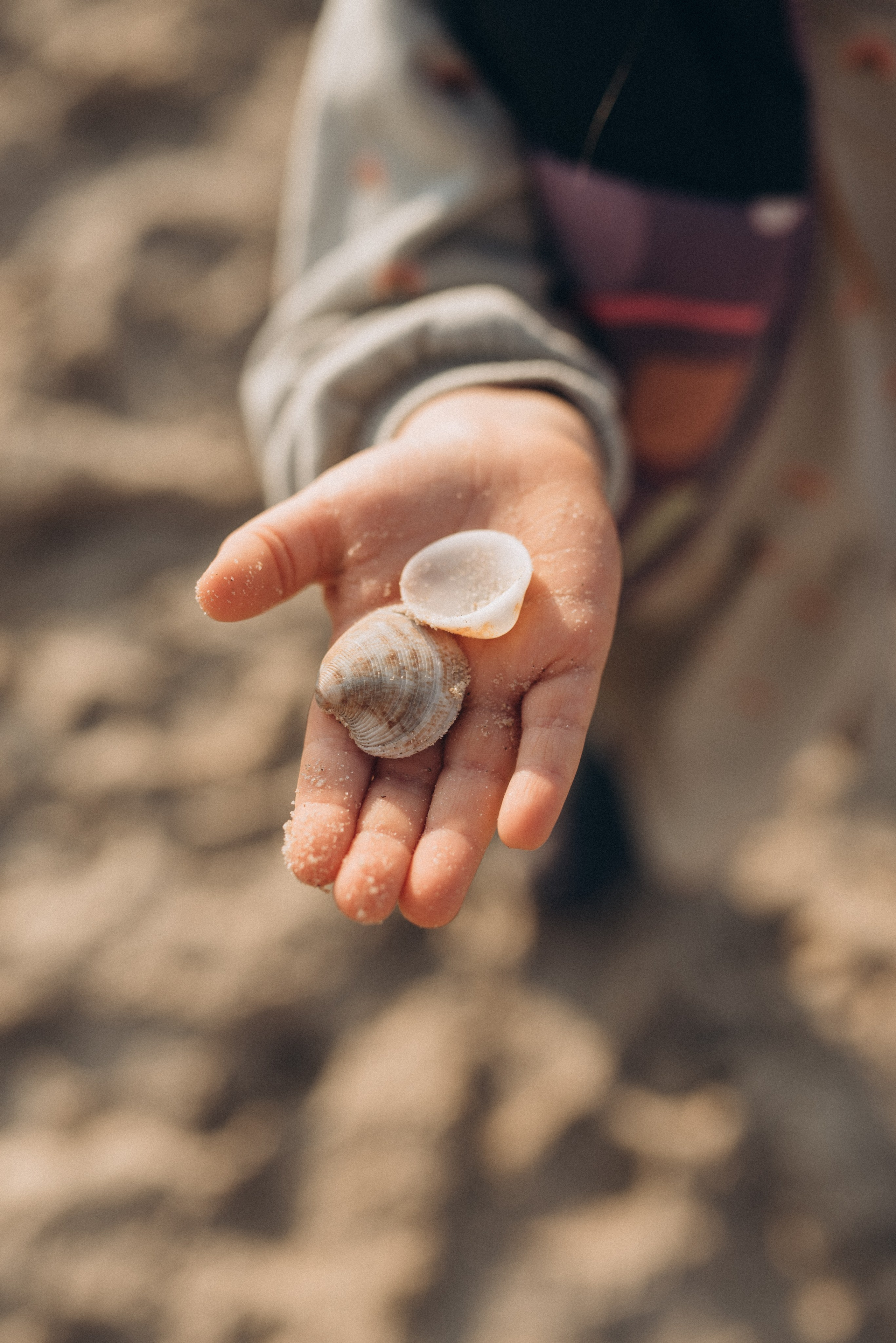 Family: Olga, Alexey, Solomika & Eric. Family photographer in Israel | Alesya Superfin