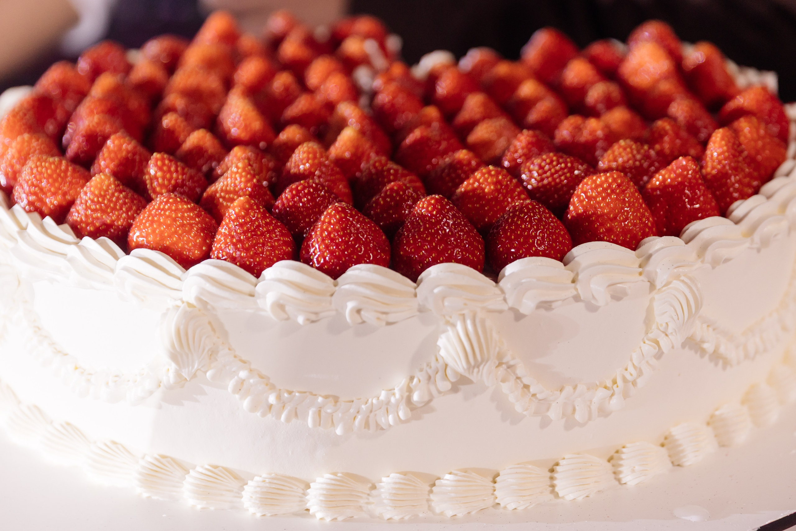 Среди 8 миллиардов. Свадебный фотограф Санкт-Петербург