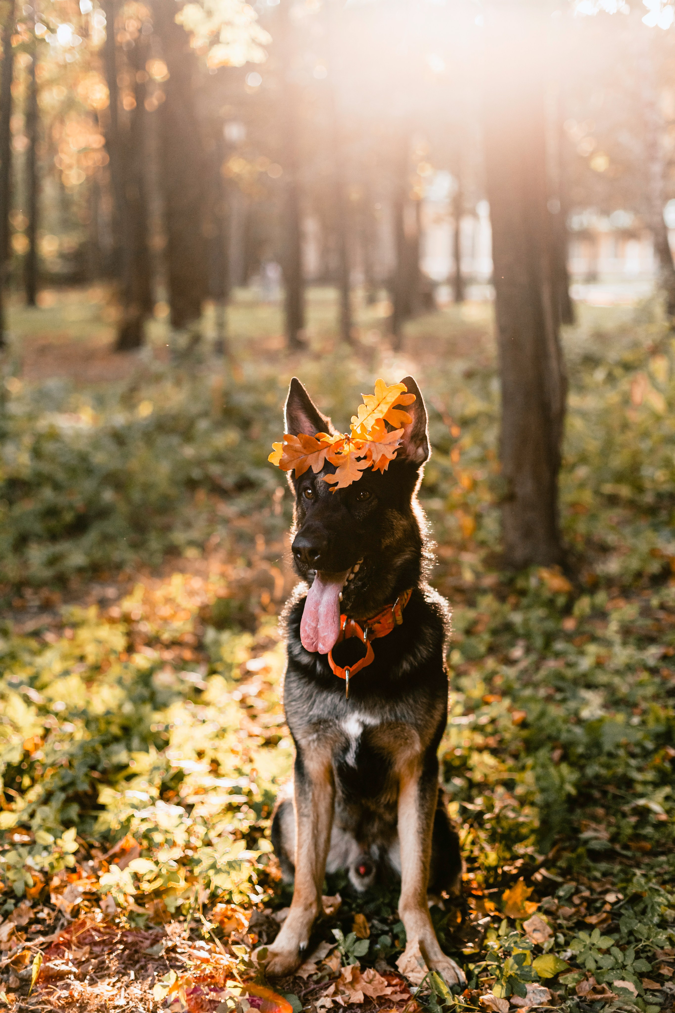Илай. Фотограф-анималист Татьяна Степанова