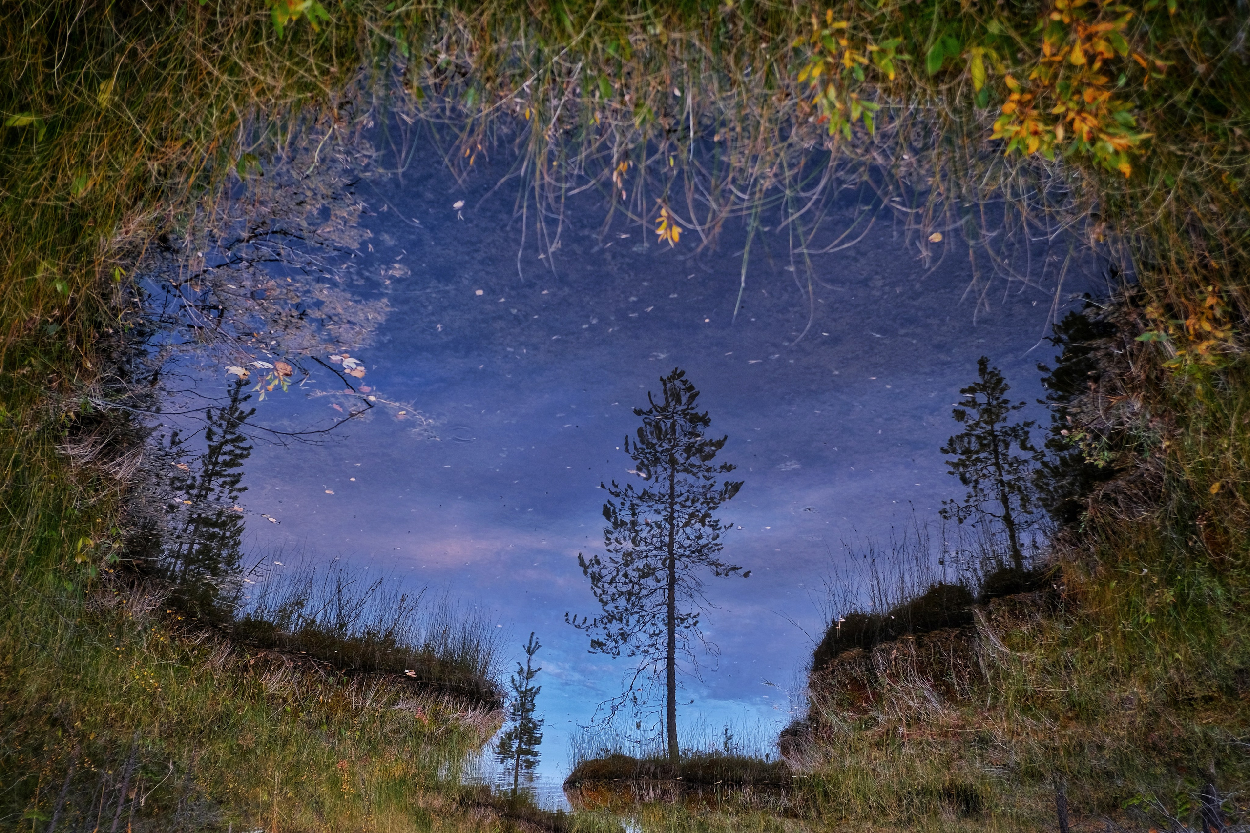 Мурманская область. Фотограф Евгений Андреев