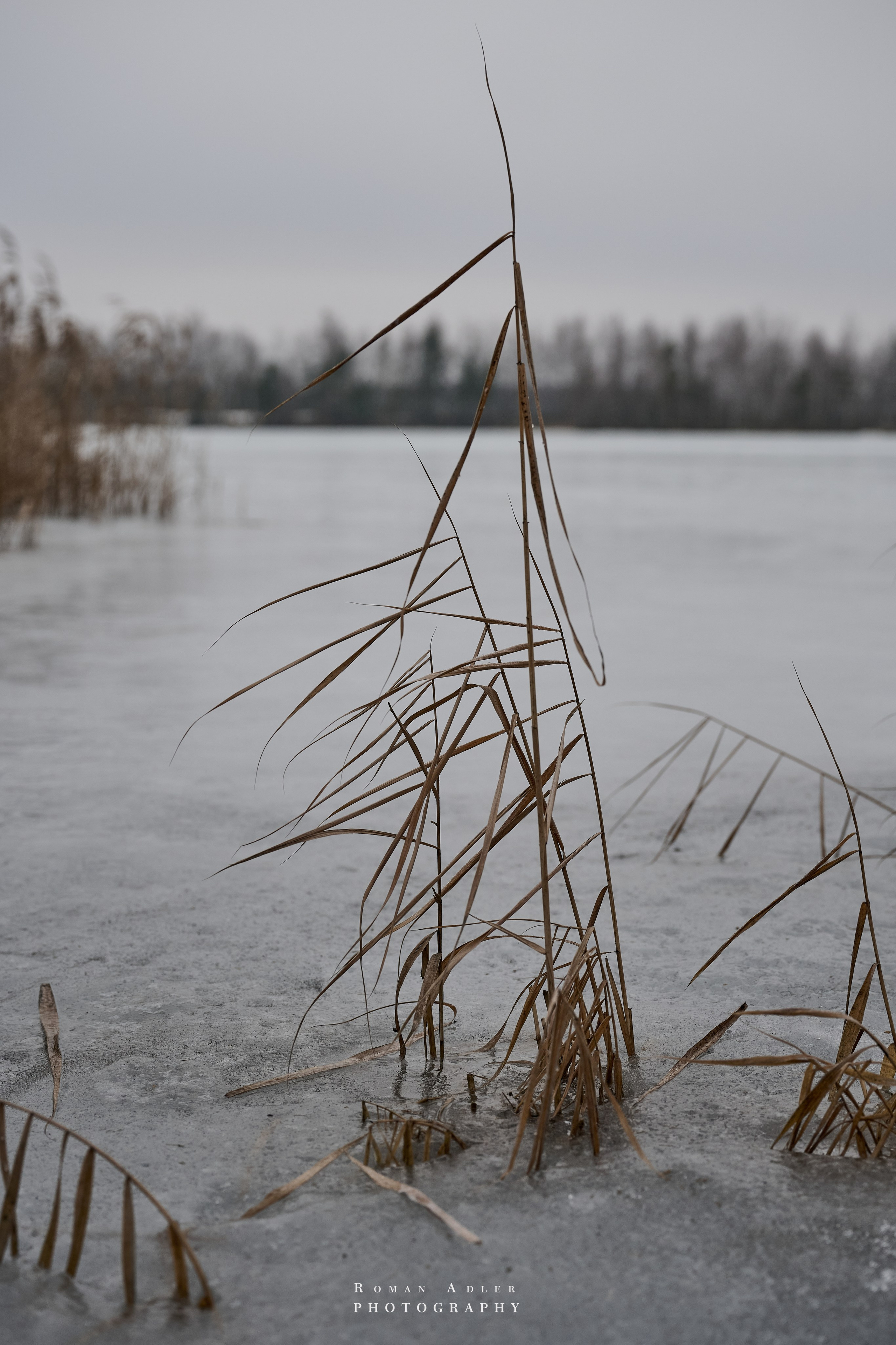 Место силы…. Фотограф Роман Адлер