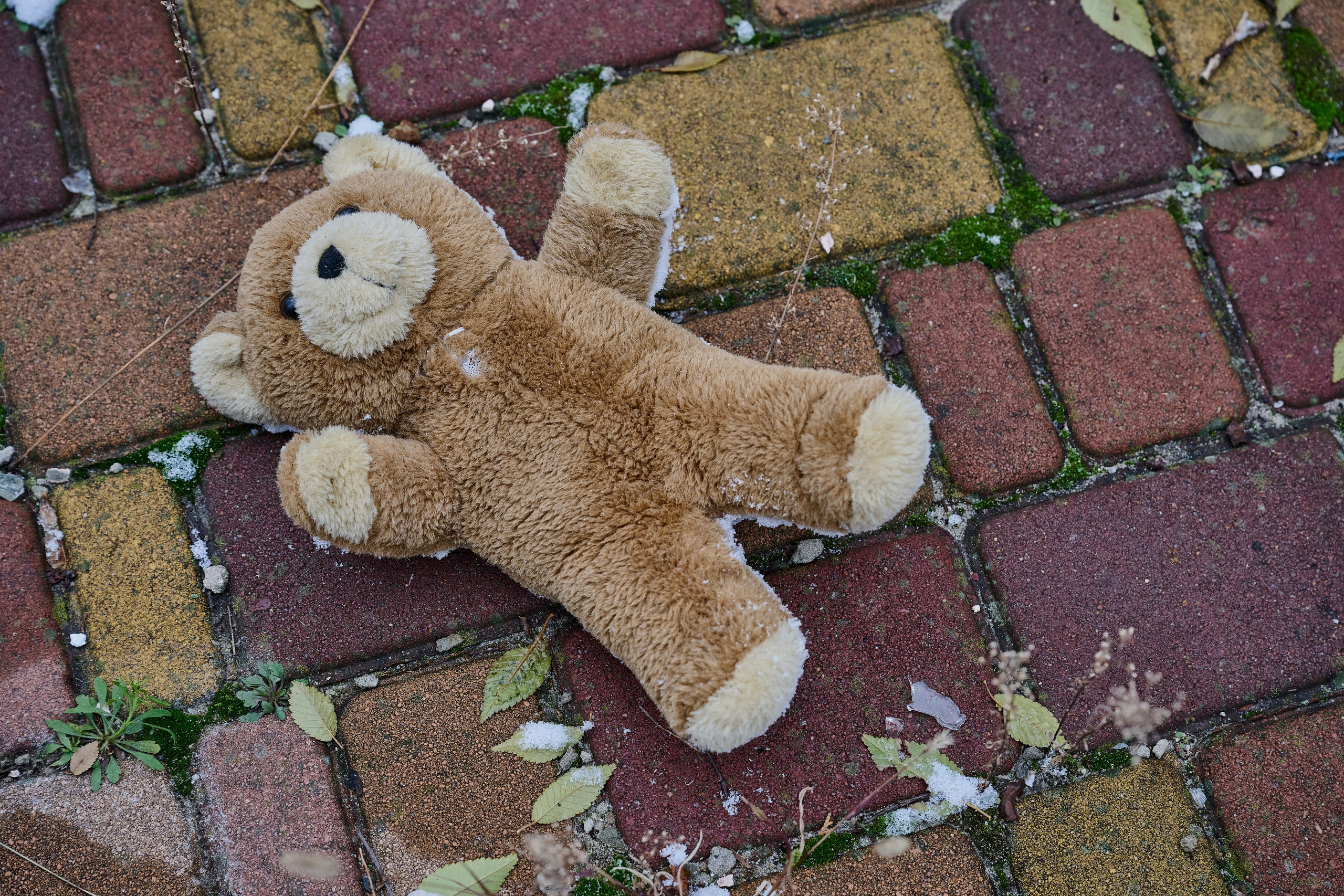 Северодонецк (Луганская область). Декабрь 2024. Фотограф Роман Адлер