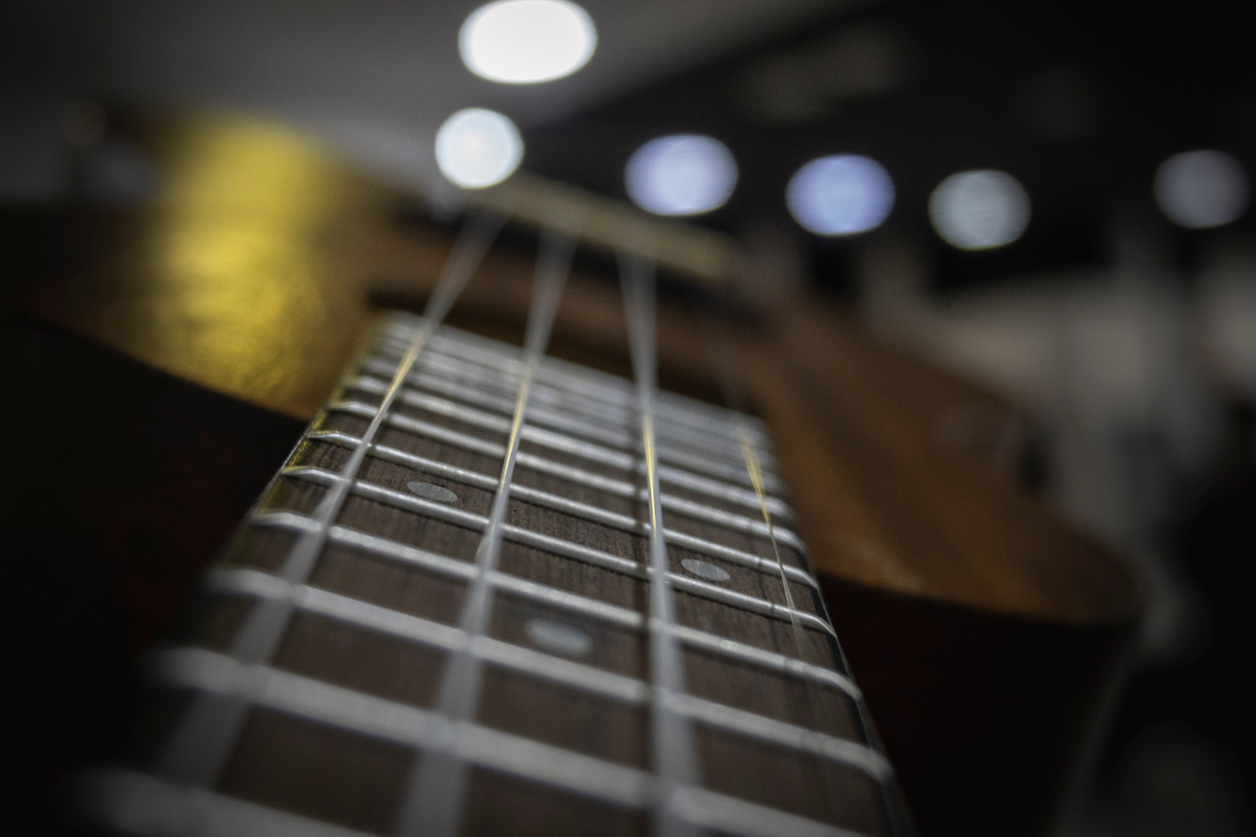 Творческий вечер. Друзья, стихи и песни!. Фотограф Роман Адлер