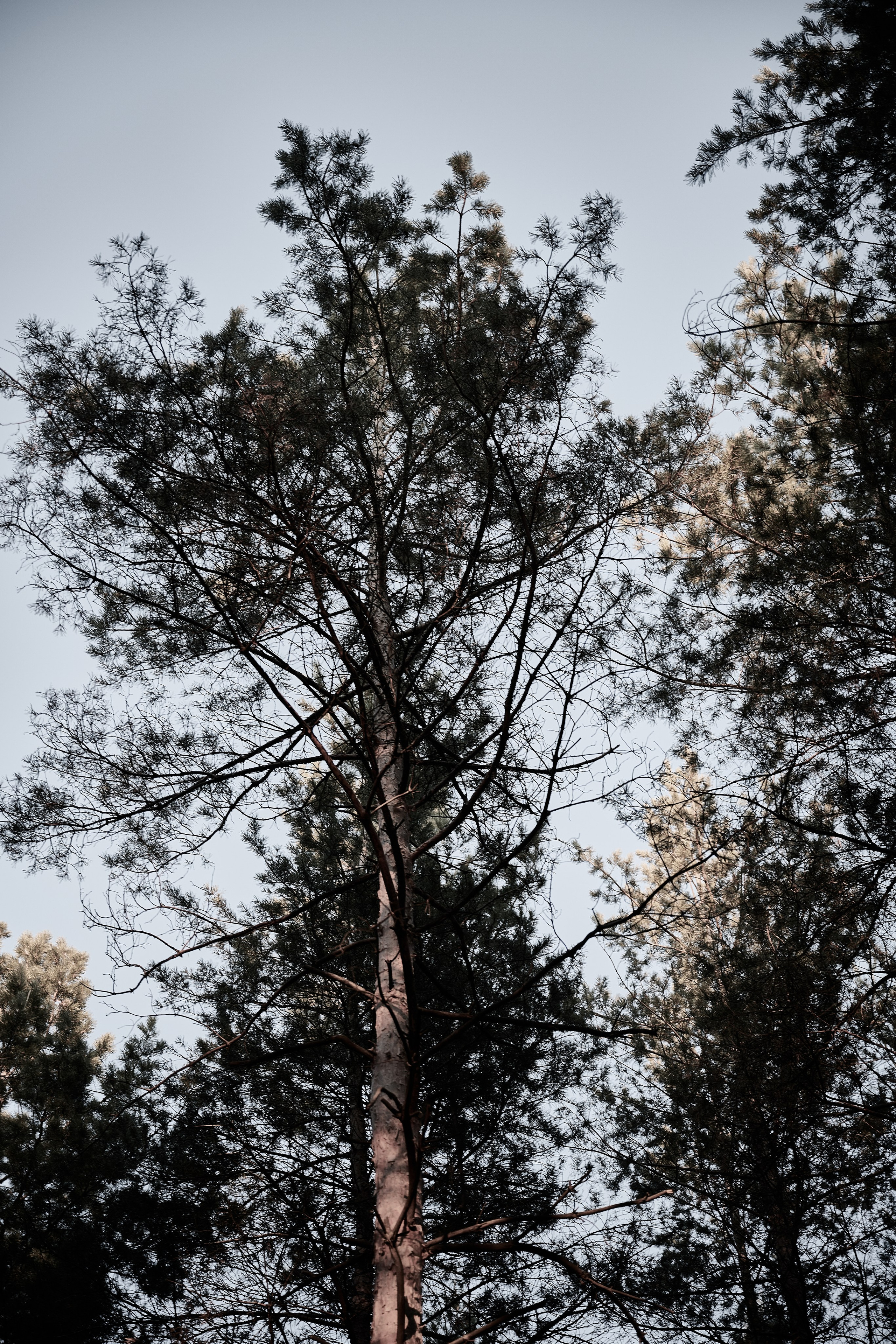 Дороги Территорий. Фотограф Роман Адлер